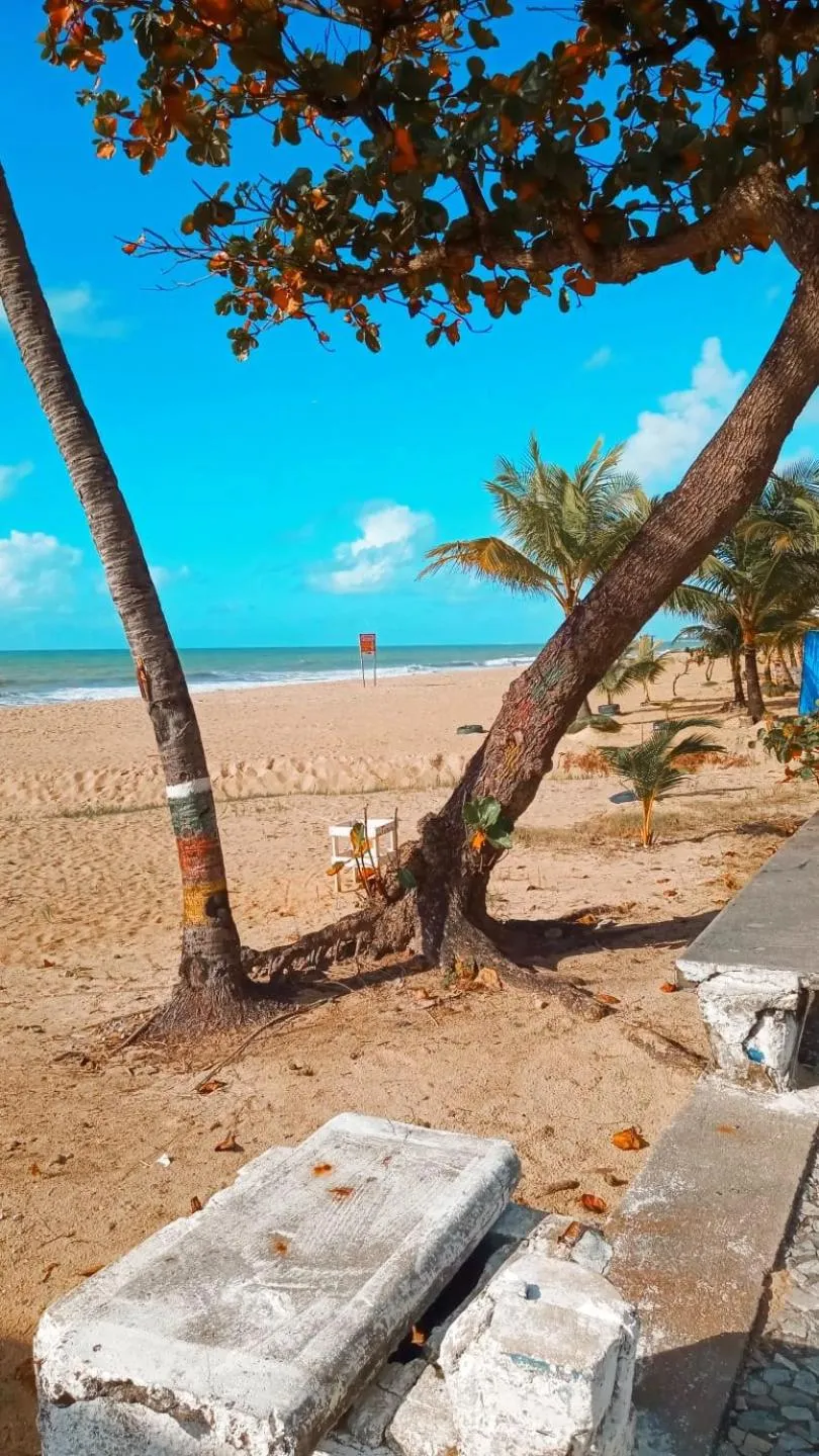 Natural landscape in Pousada Trip Inn Recife