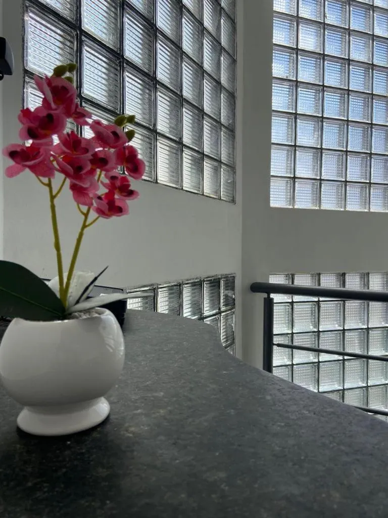 Property building in Pousada Trip Inn Recife