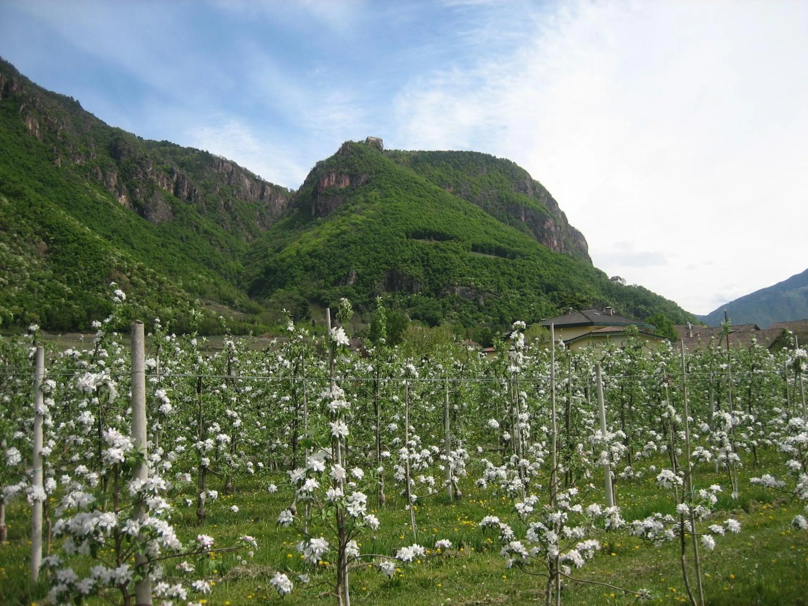 Natural landscape in Hotel Greifenstein