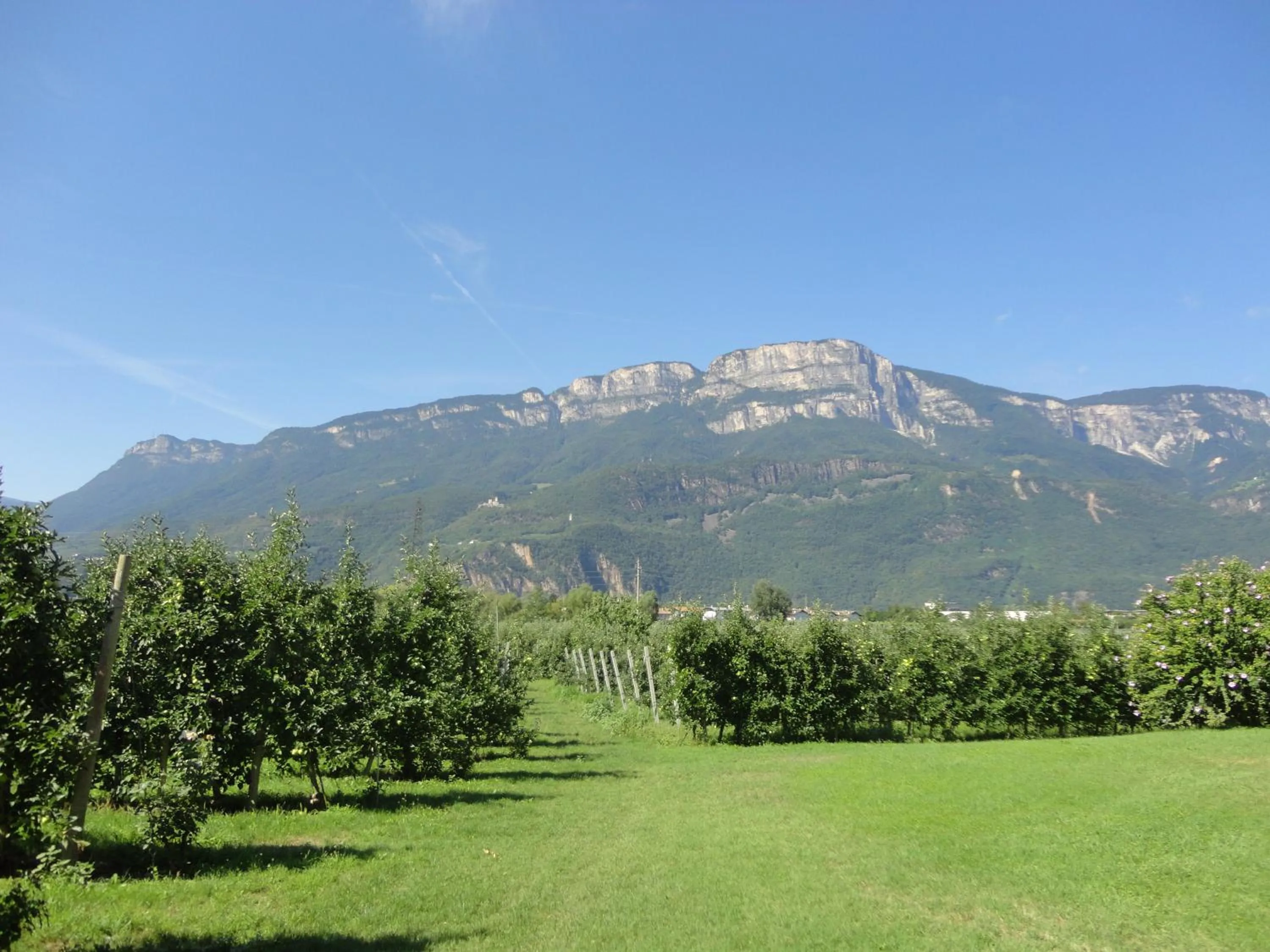 Natural landscape in Hotel Greifenstein
