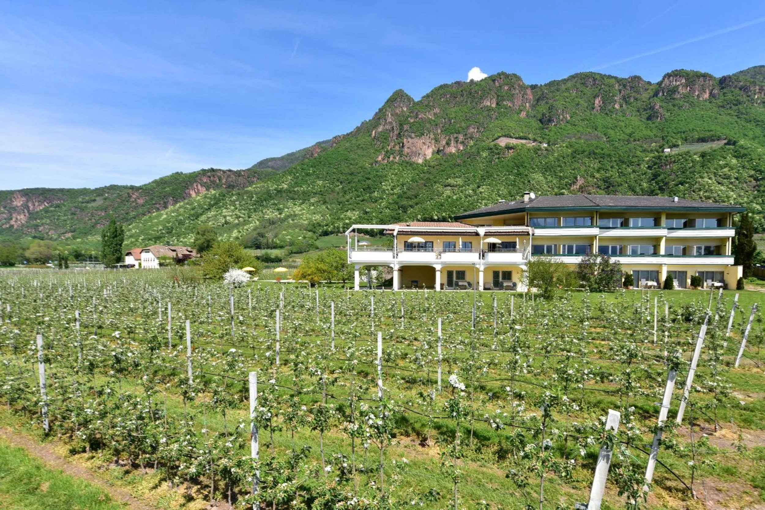 View (from property/room) in Hotel Greifenstein