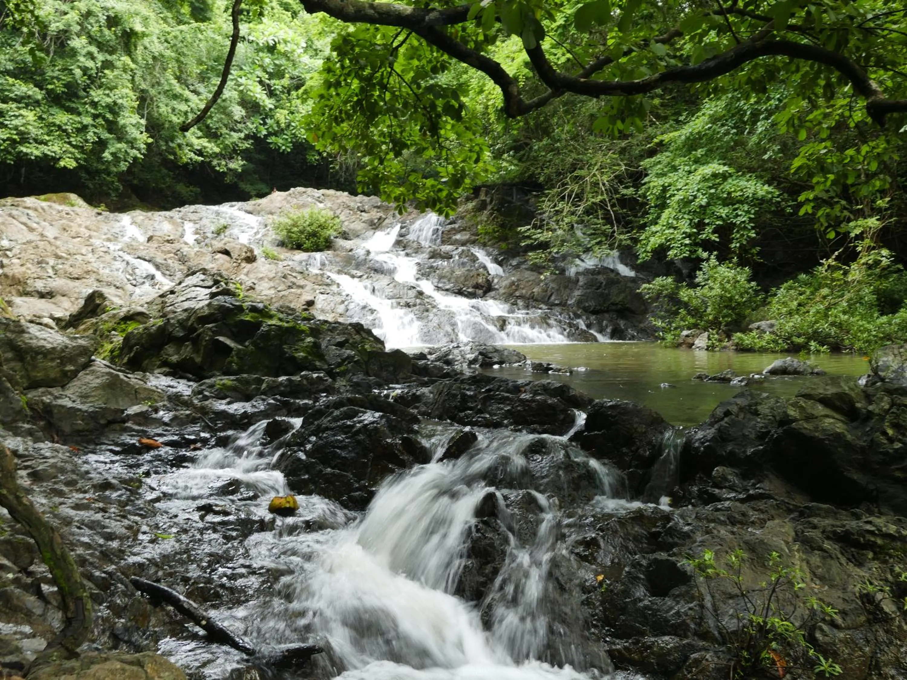 Other in Maoritsio Garden Studios