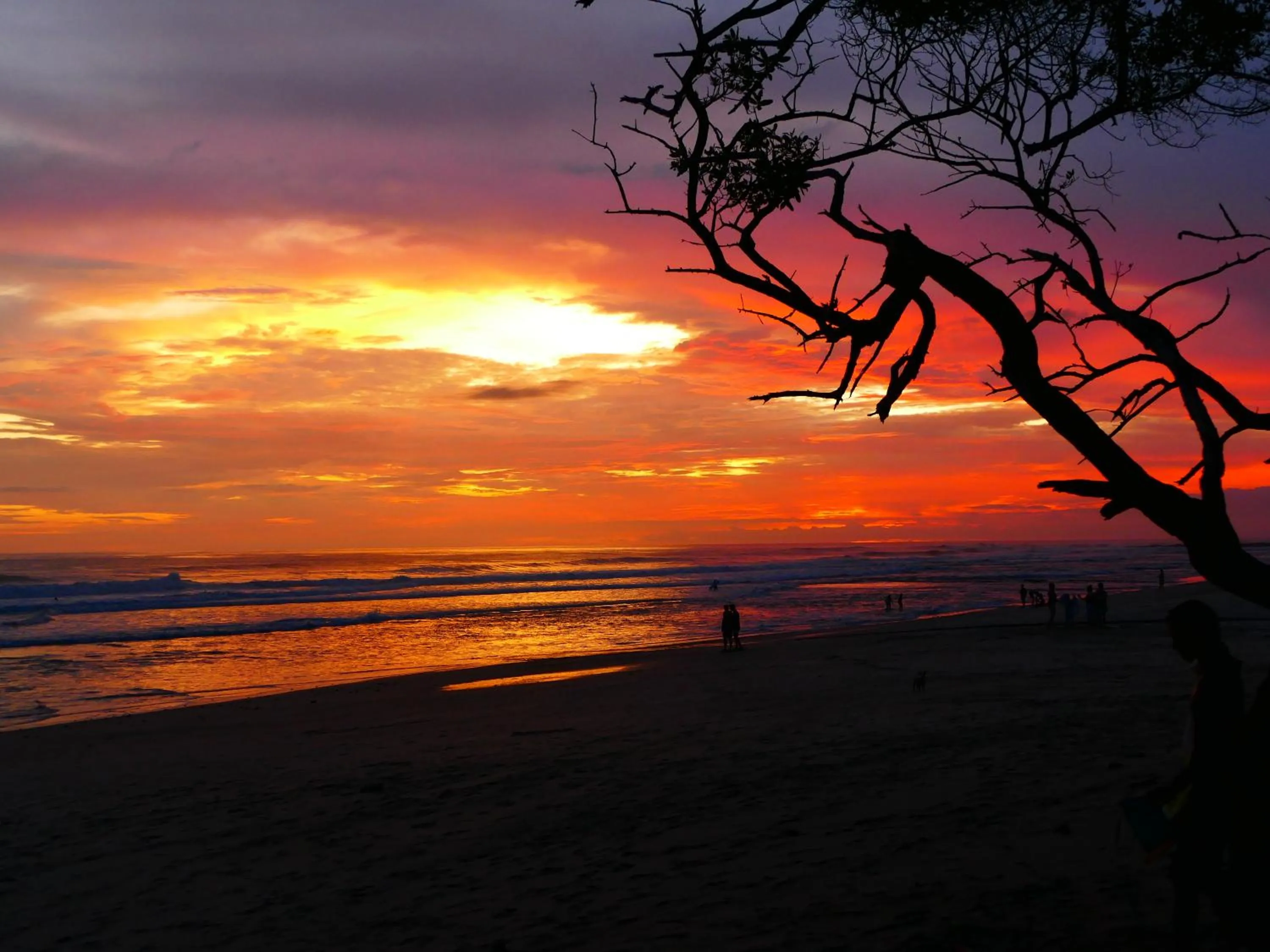 Sunset in Maoritsio Garden Studios
