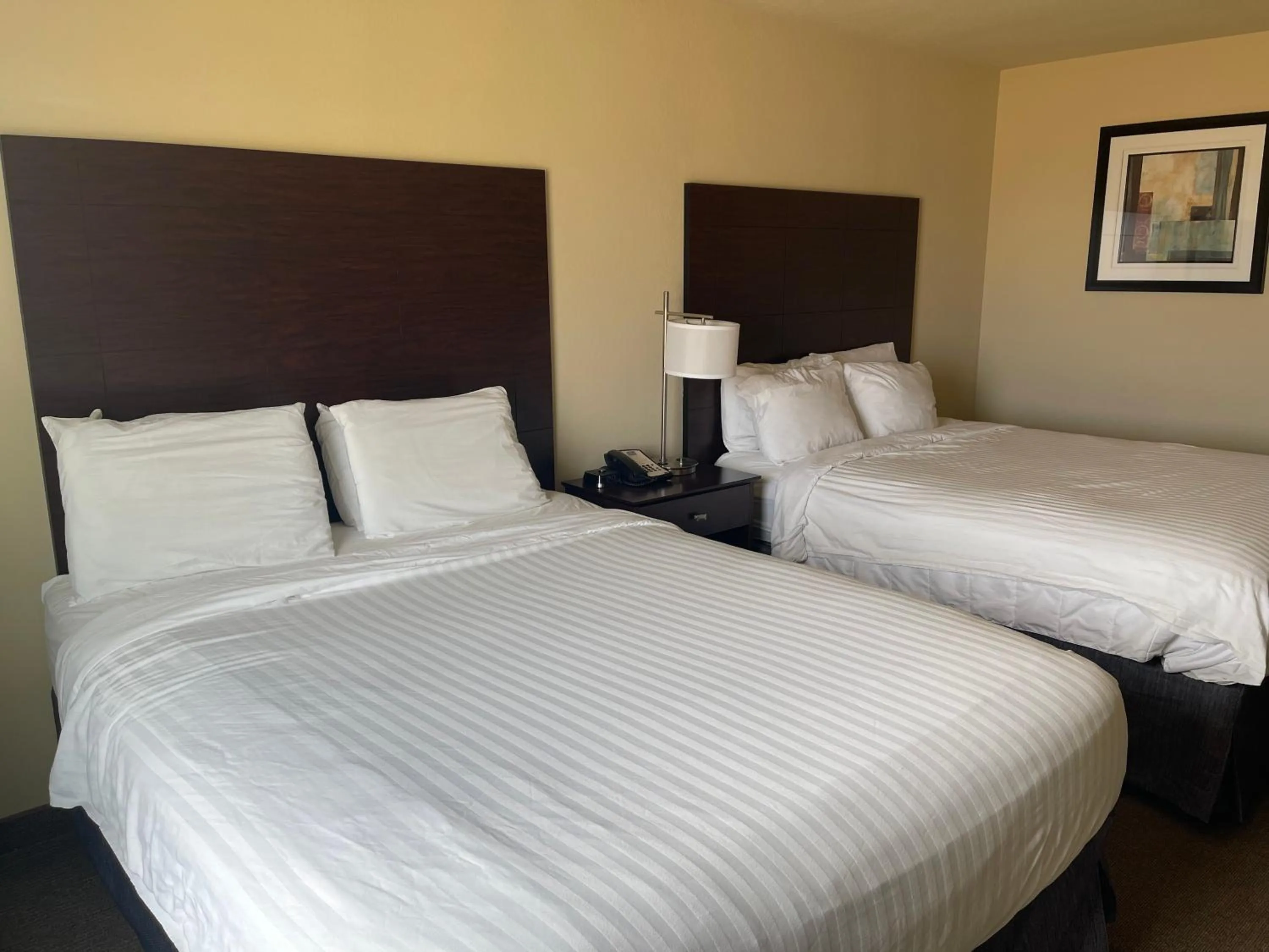 Bed in AmeriVu inn and Suites - Crookston