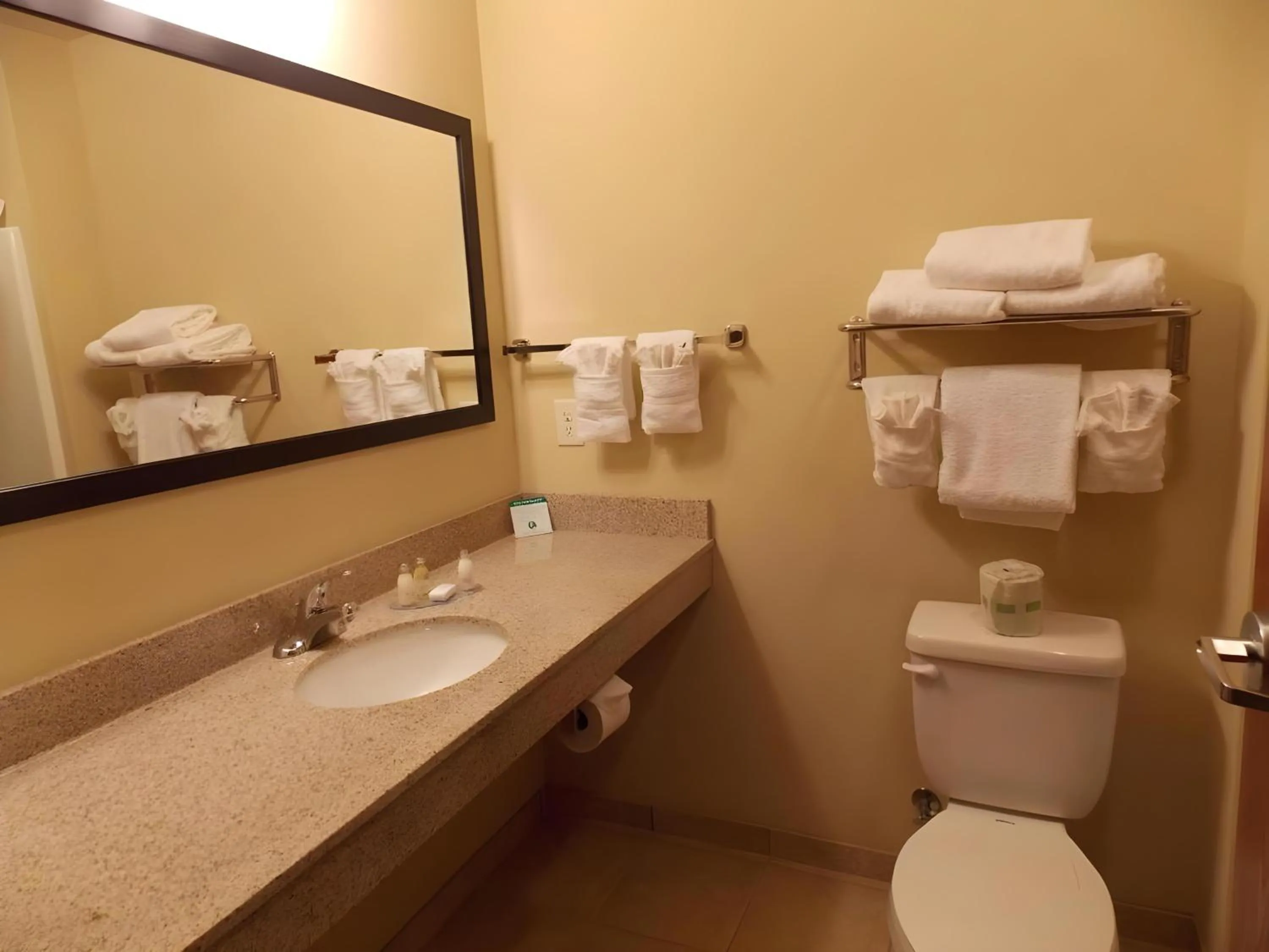 Toilet in AmeriVu inn and Suites - Crookston