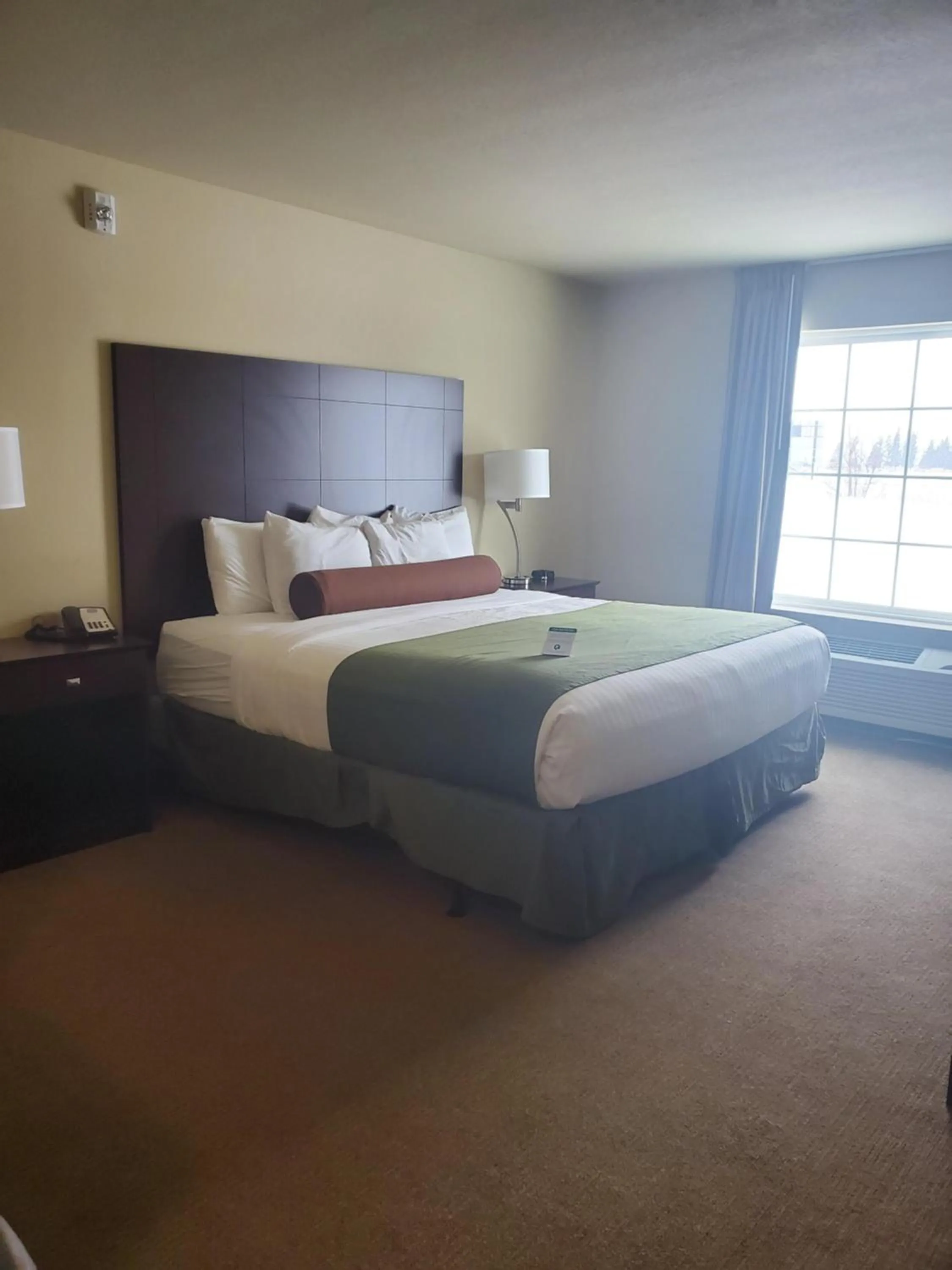 Bed in AmeriVu inn and Suites - Crookston
