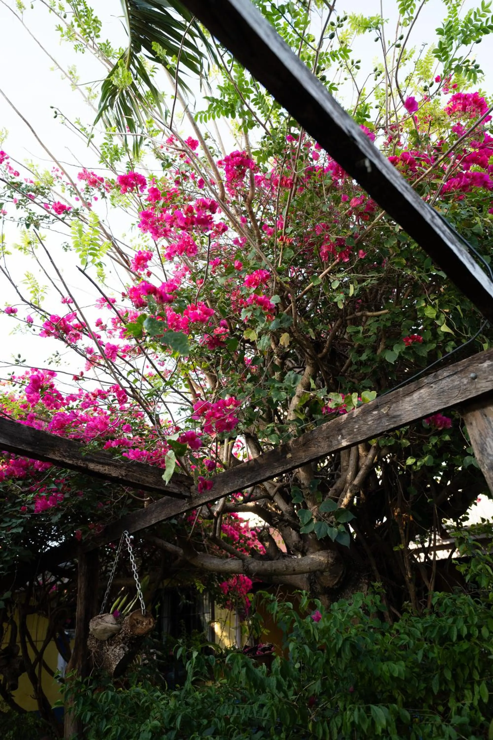 Hotel Punta Descartes