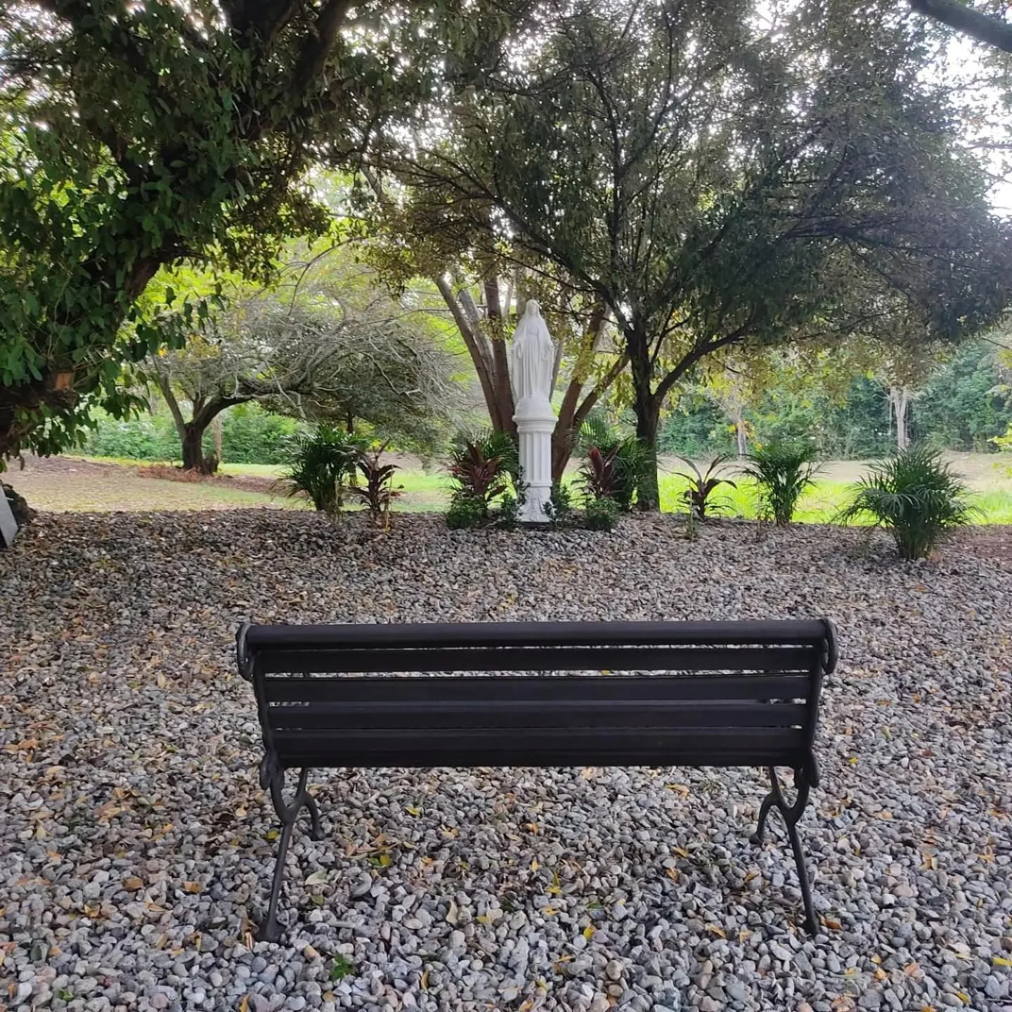 Garden in Arizona Ranch Hotel