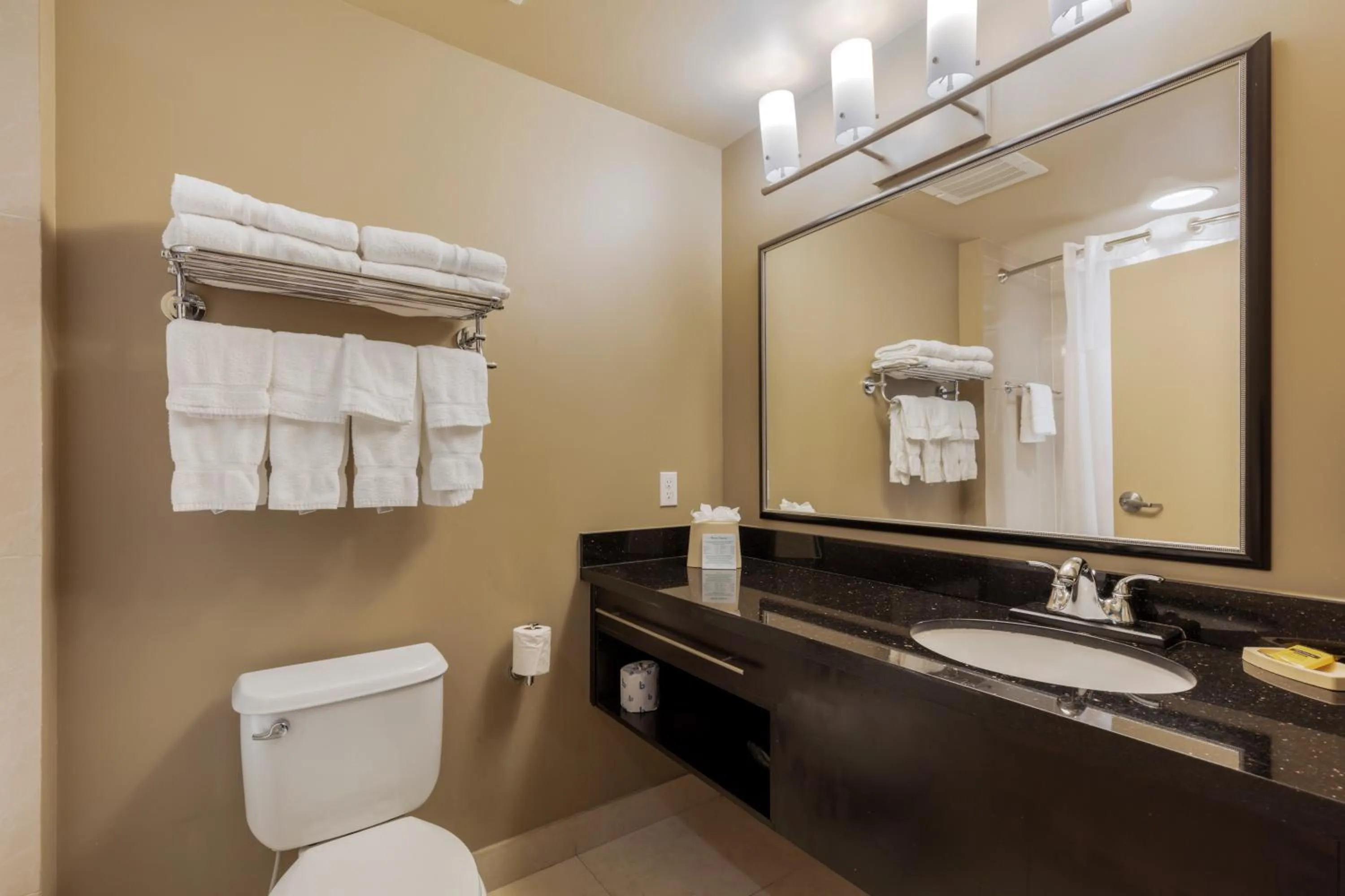 Bathroom in Best Western Plus Miami Airport North Hotel & Suites