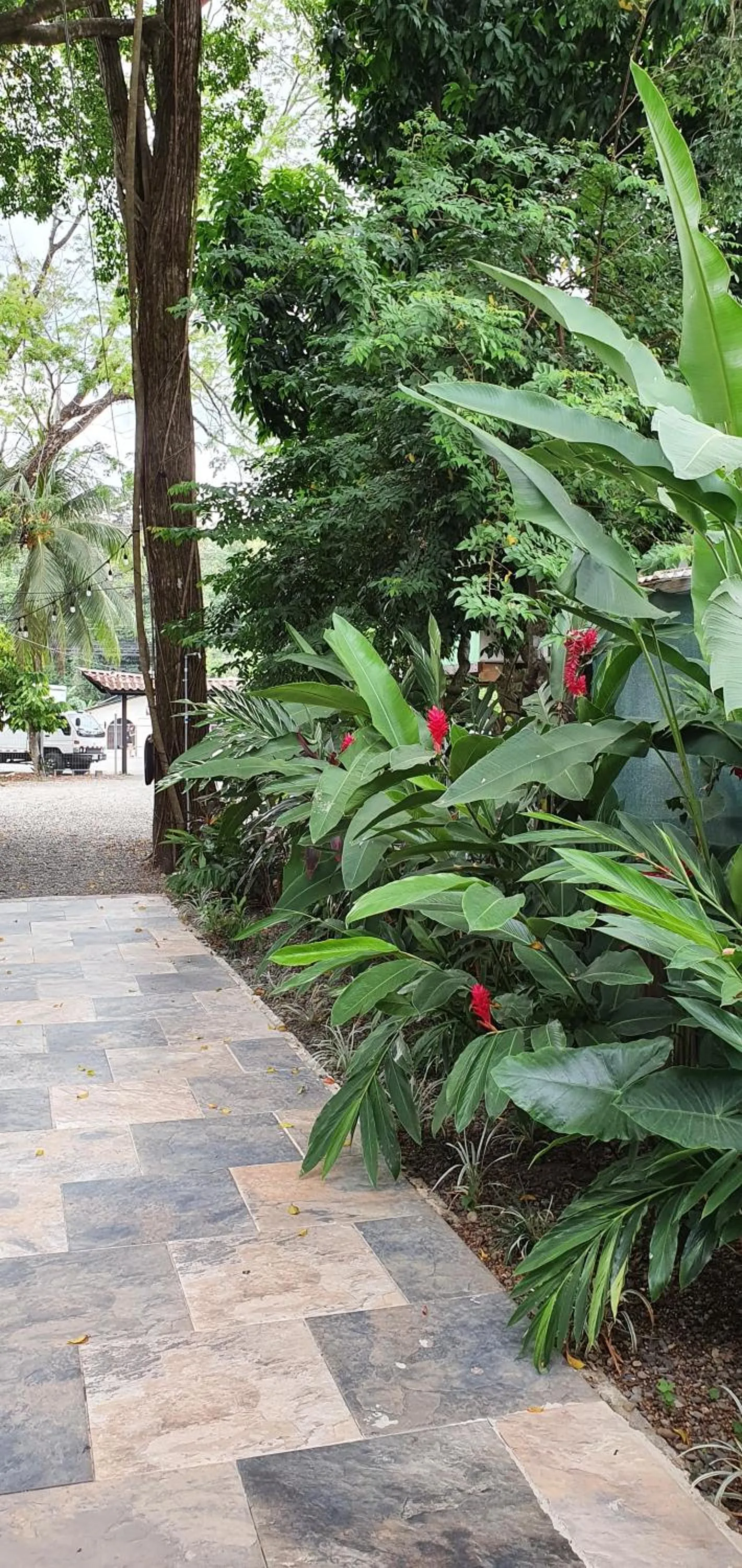 Property building in Tucan Hotel