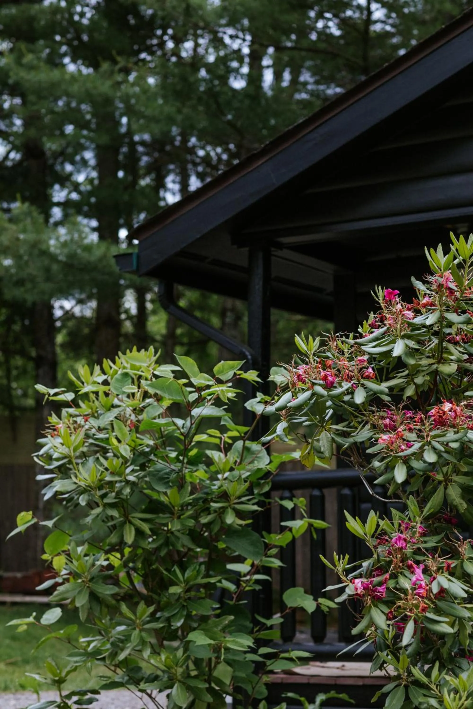 Property building in The Leeway