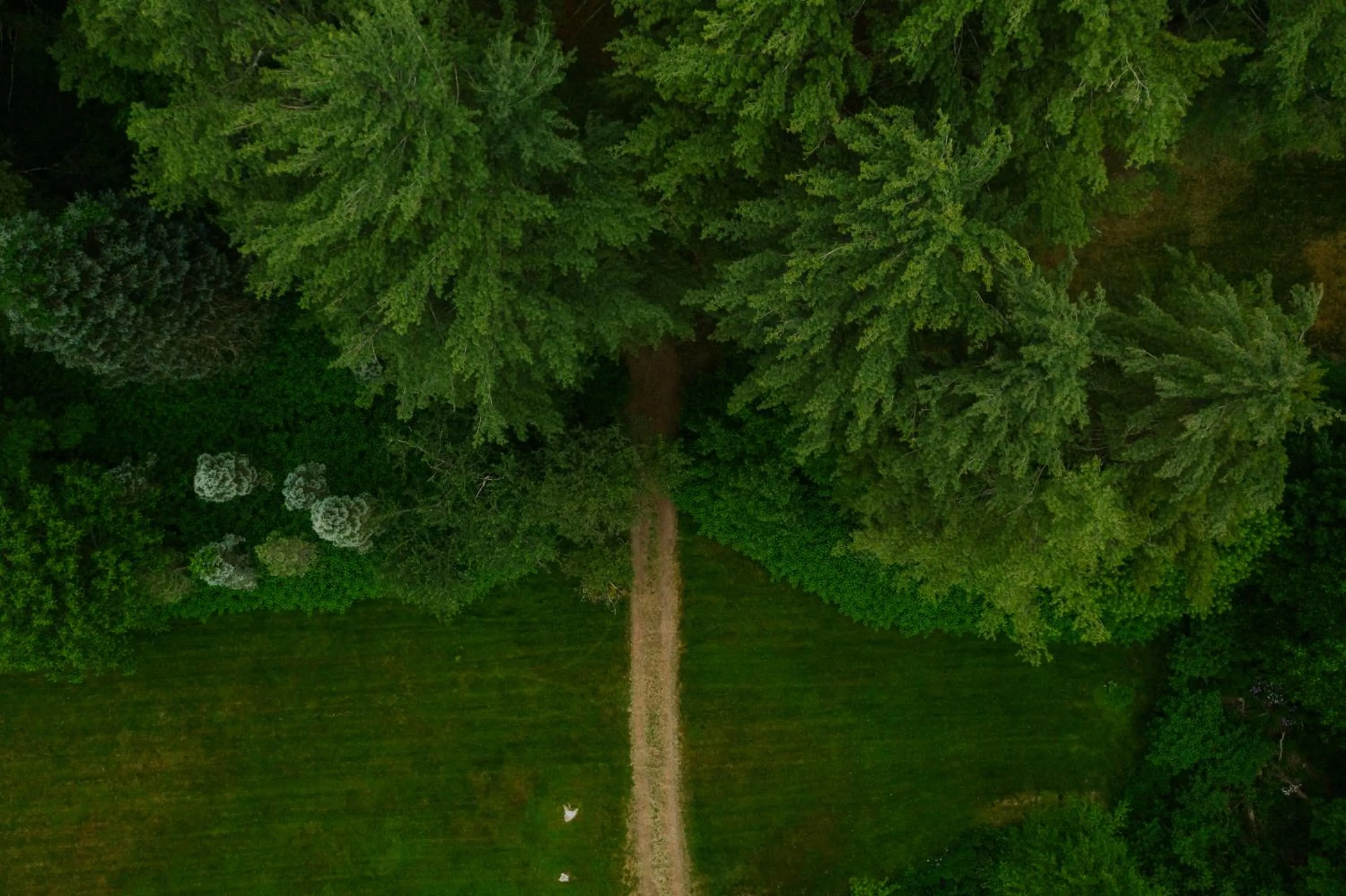 Natural landscape in The Leeway