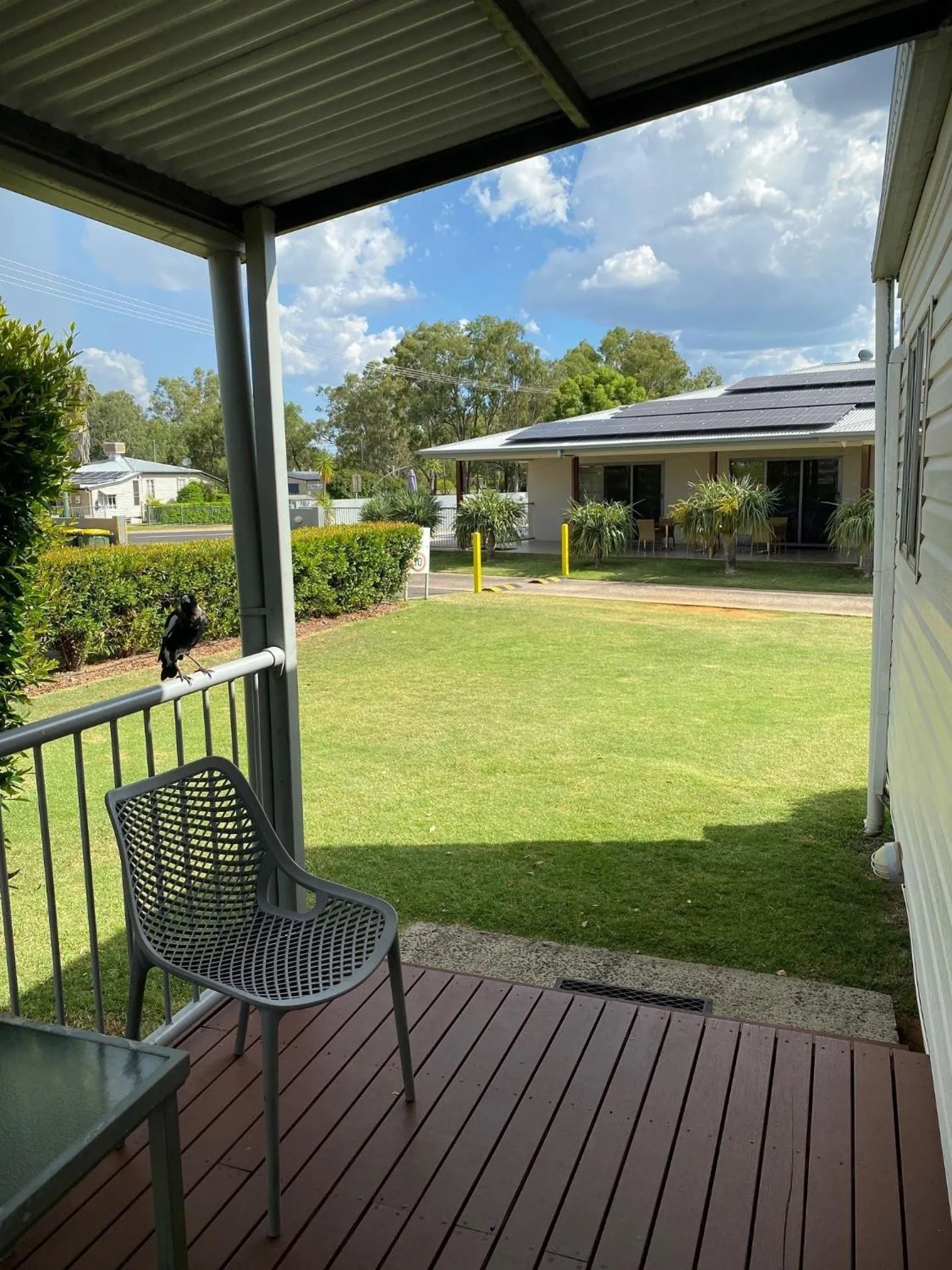 Garden view in Chinchilla Motor Inn