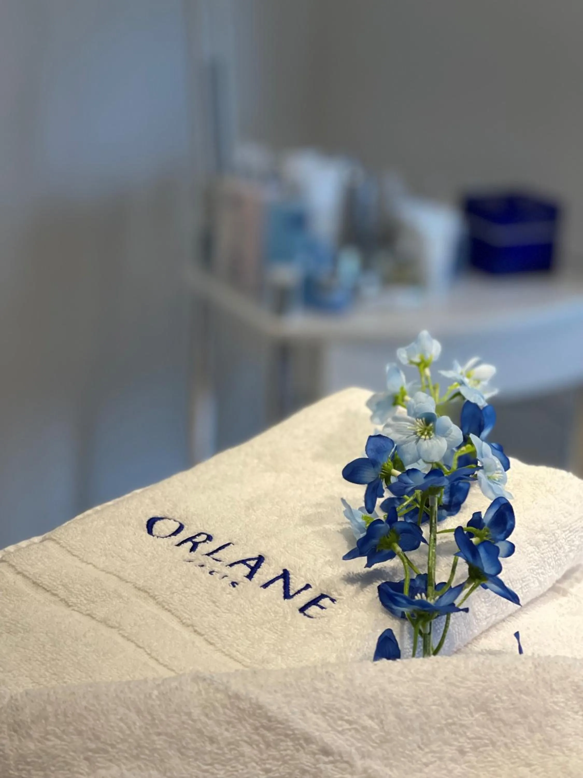 Spa and wellness centre/facilities in Landgoed Lauswolt