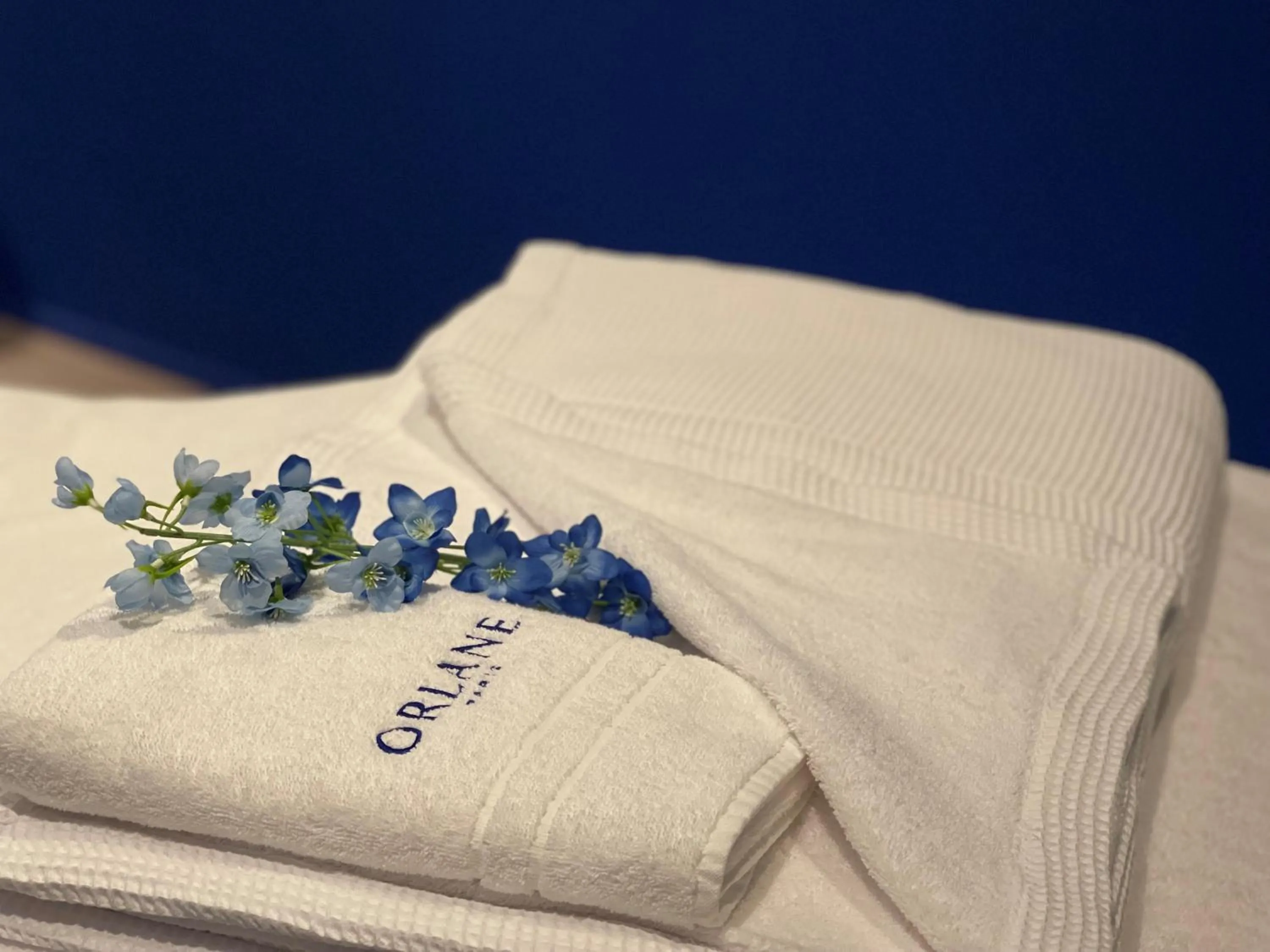 Spa and wellness centre/facilities, Bed in Landgoed Lauswolt