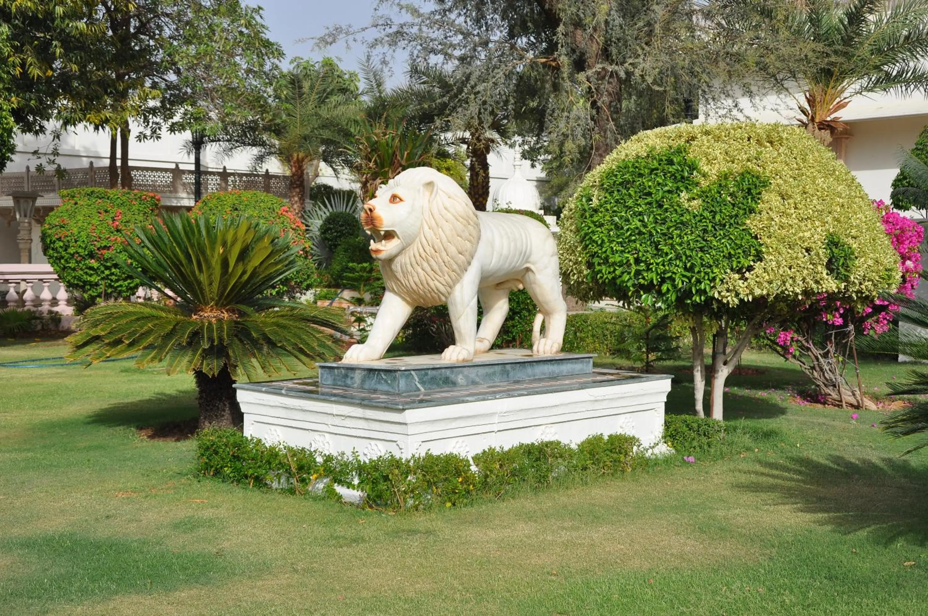 Garden in Shiv Vilas Resort
