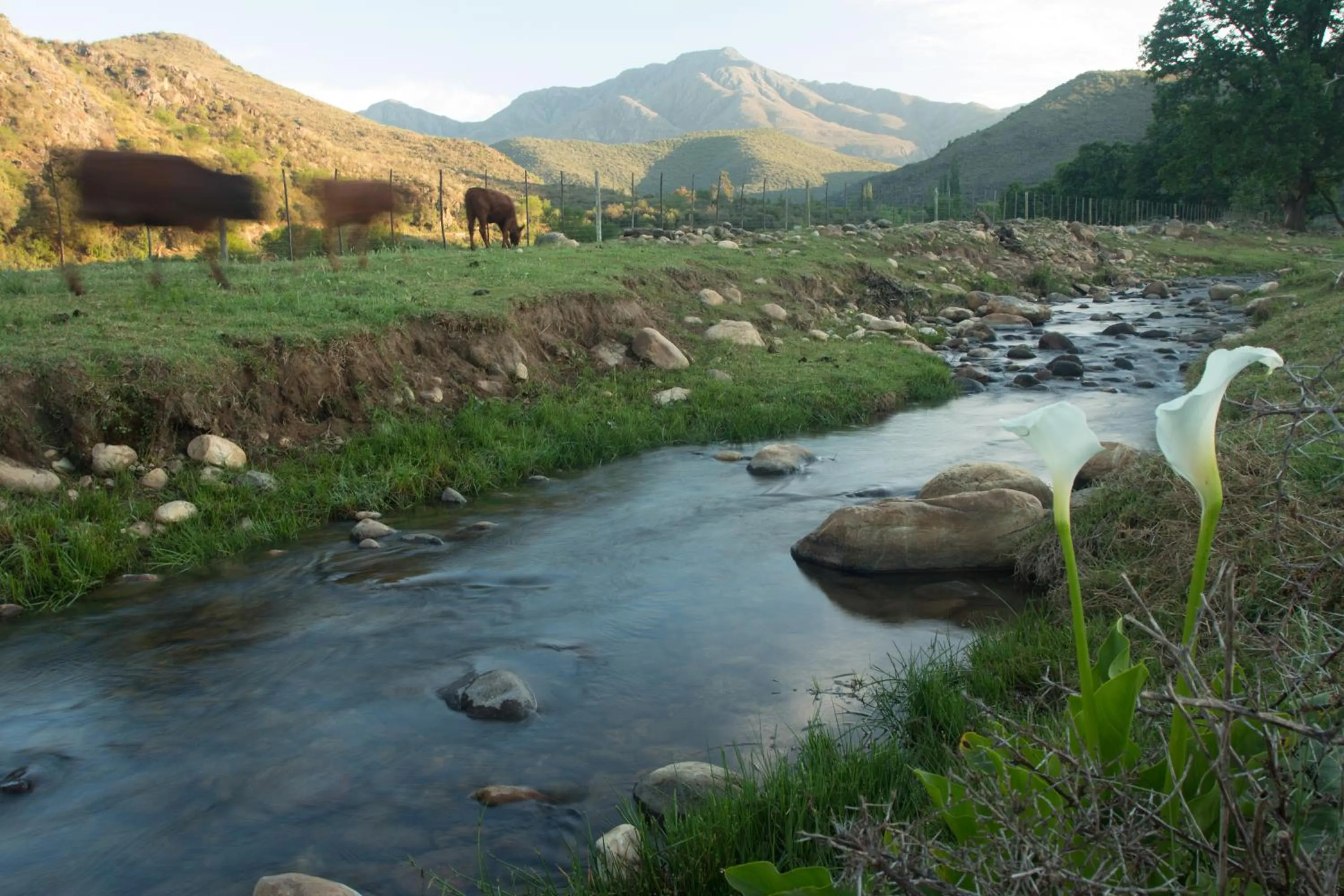 Area and facilities in De Kombuys