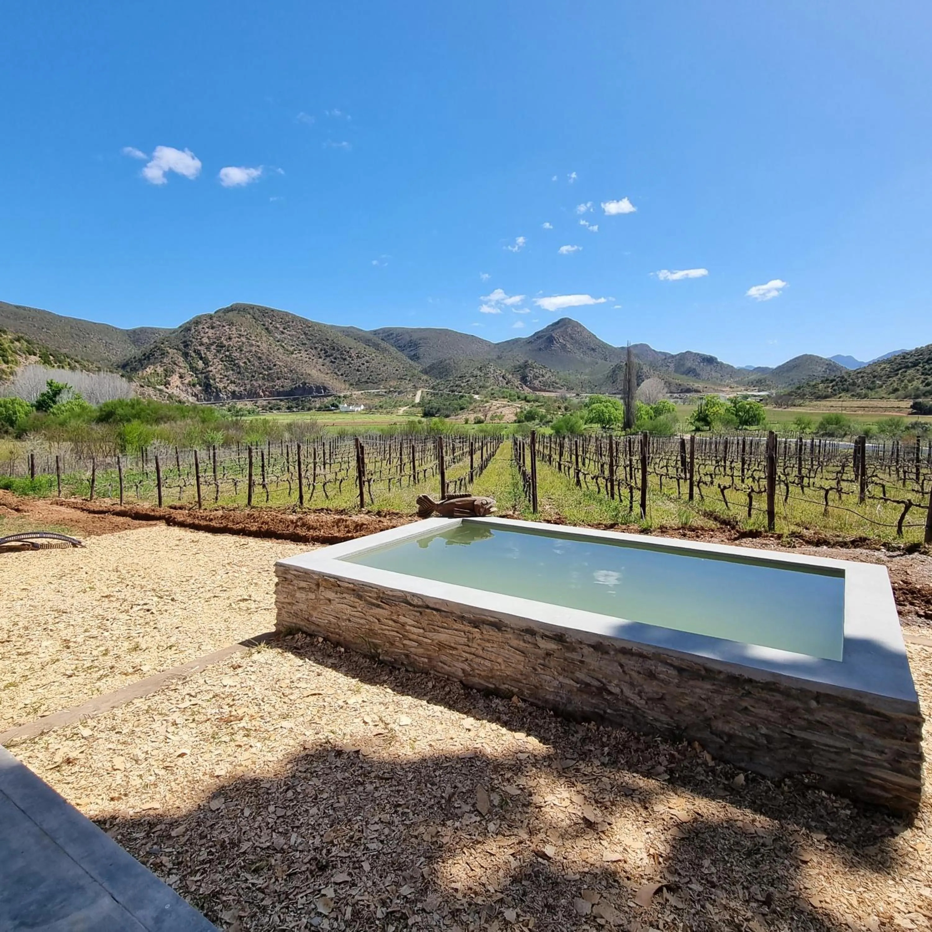 Swimming pool in De Kombuys