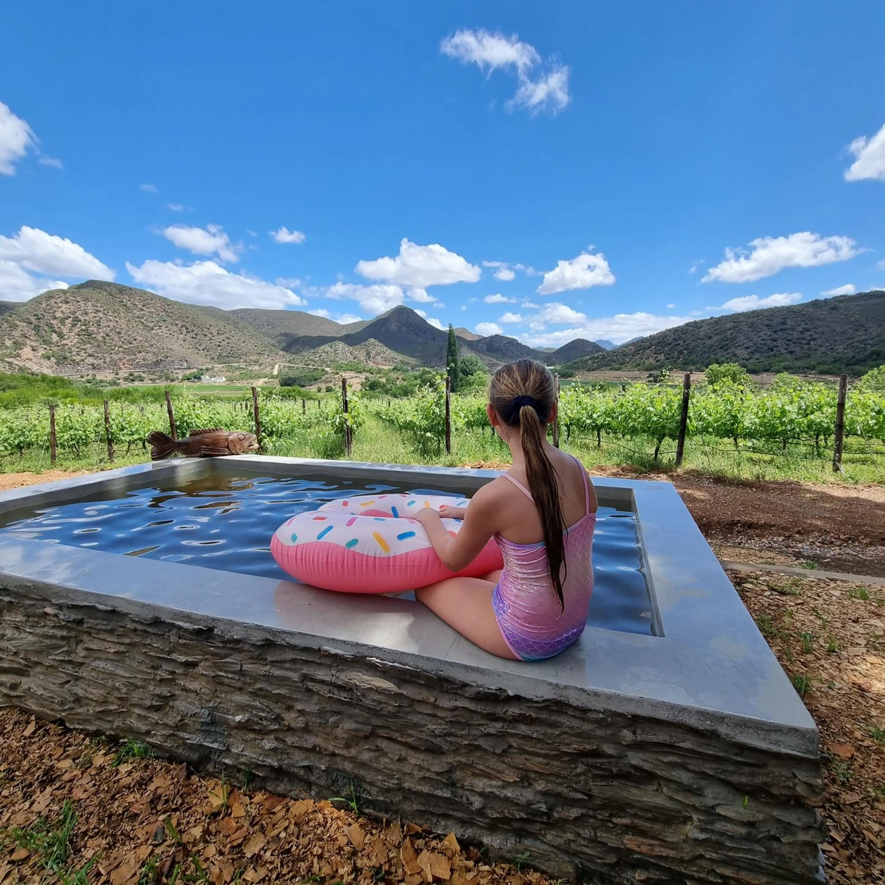 Swimming pool in De Kombuys