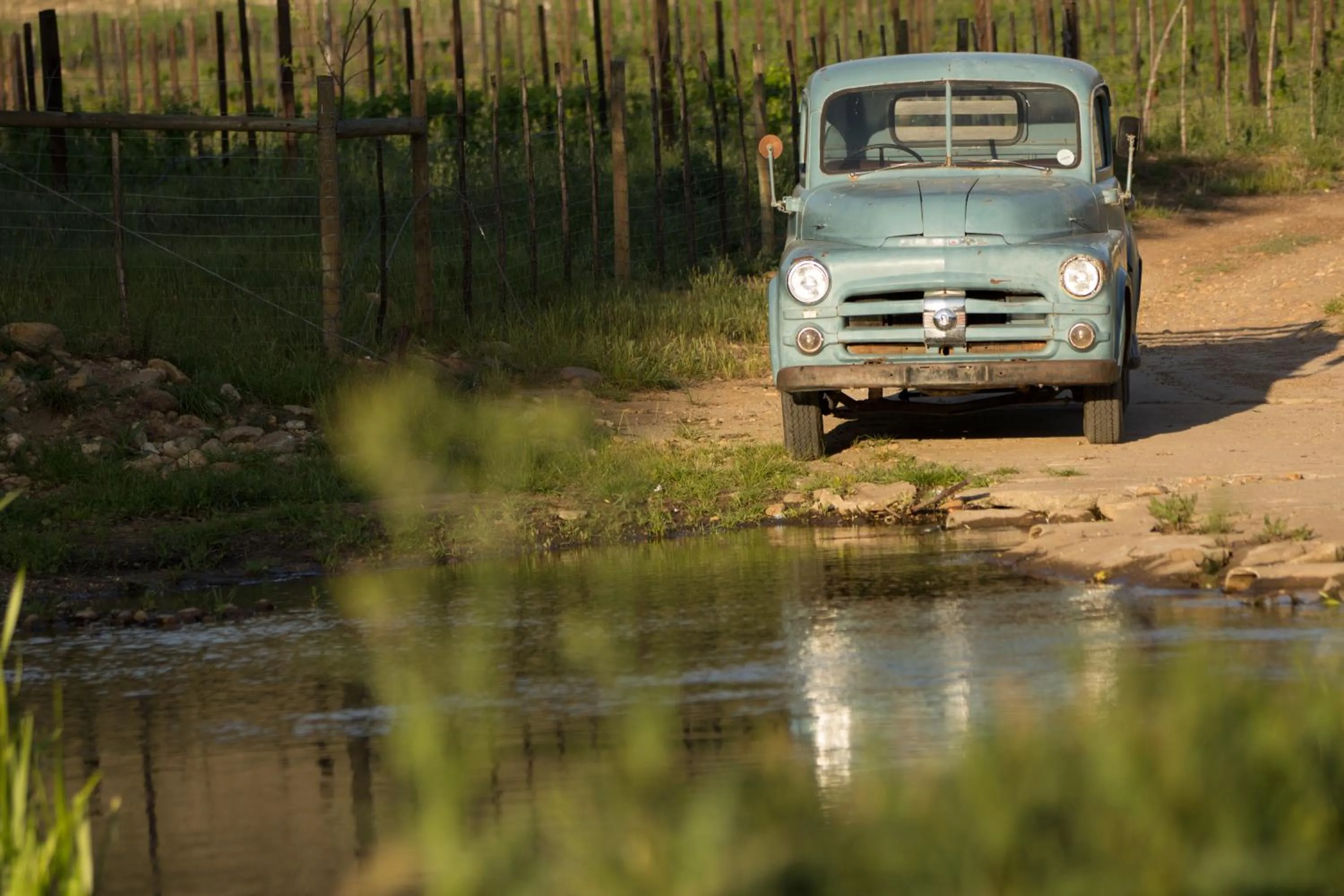 Area and facilities in De Kombuys