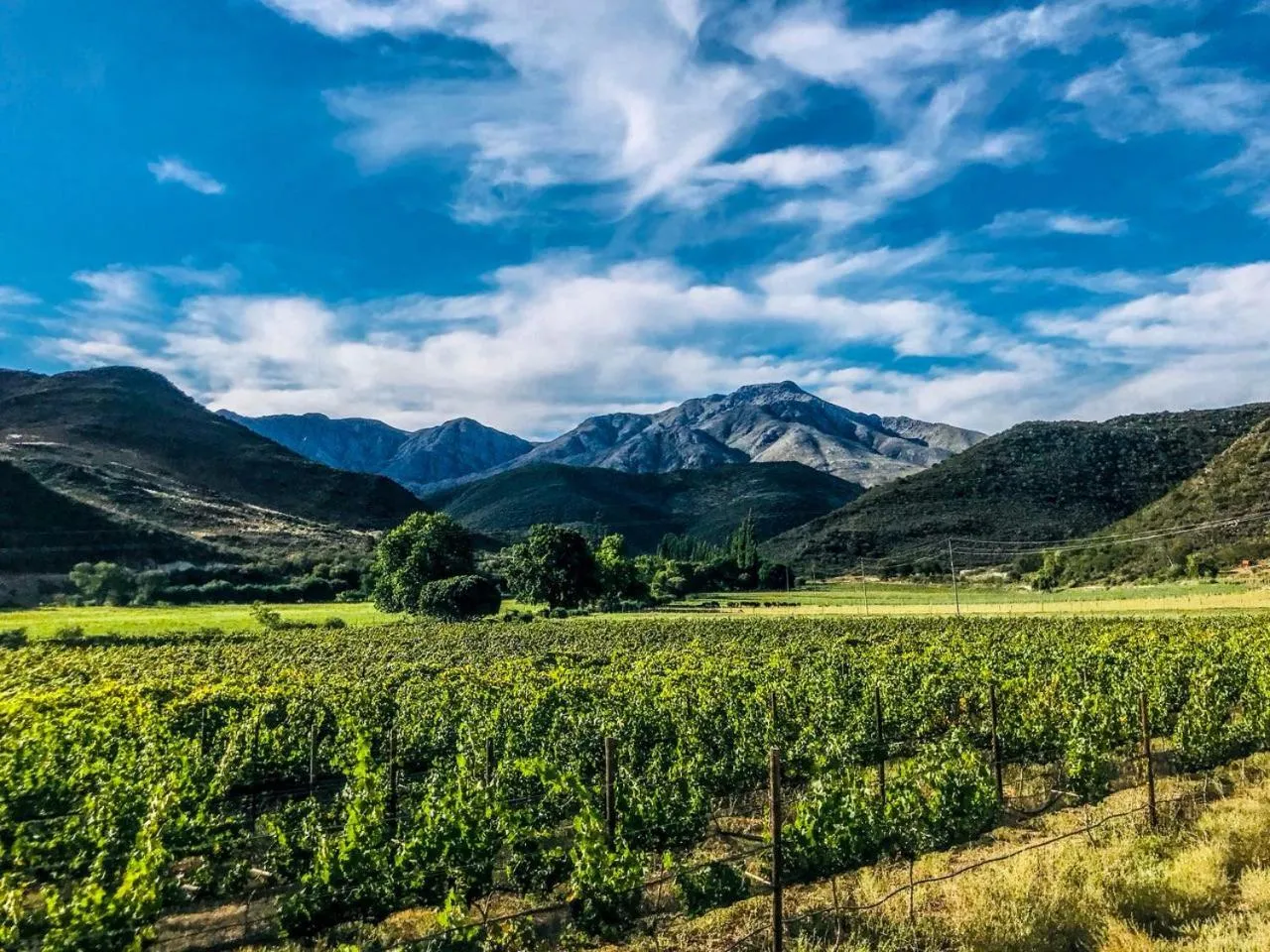 View (from property/room) in De Kombuys