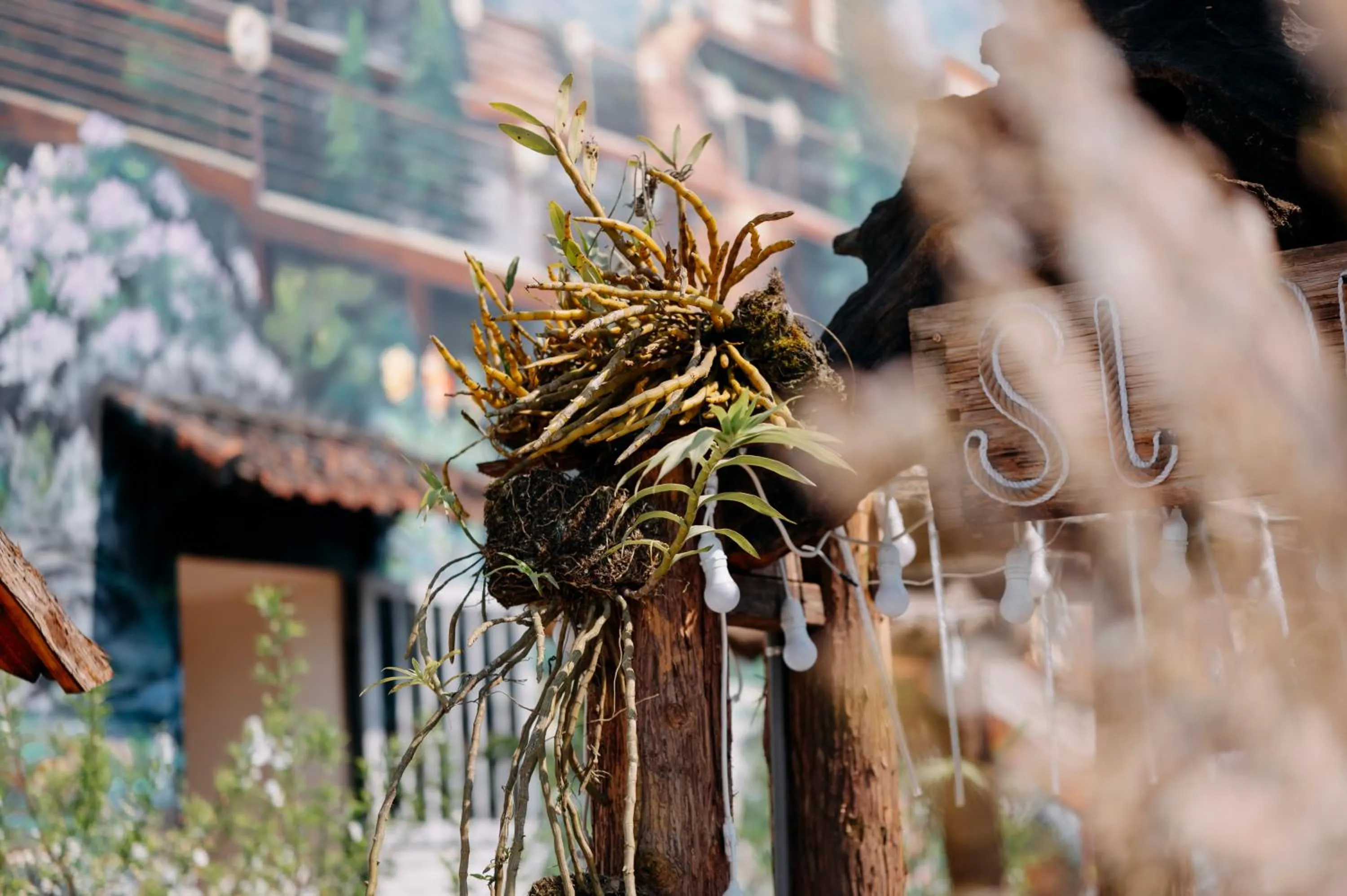 Sinai Bungalow & Hotel SaPa