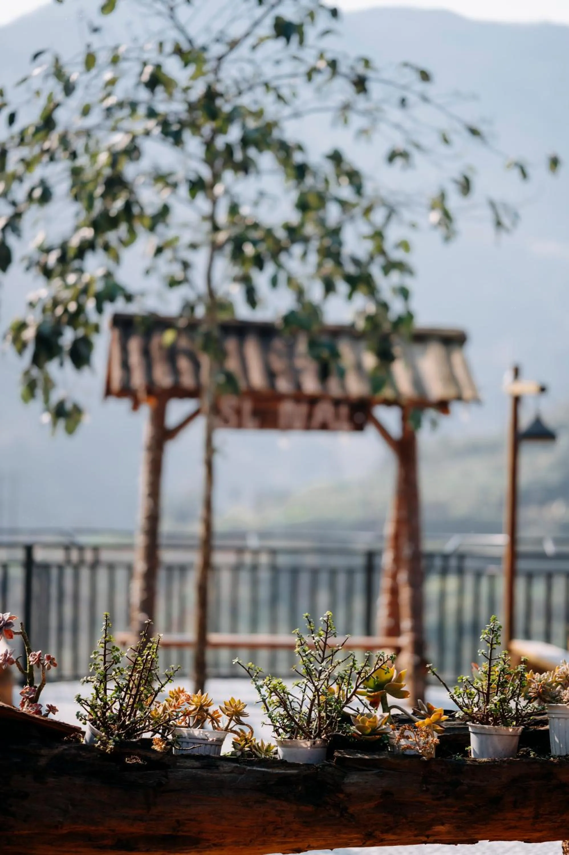 Sinai Bungalow & Hotel SaPa