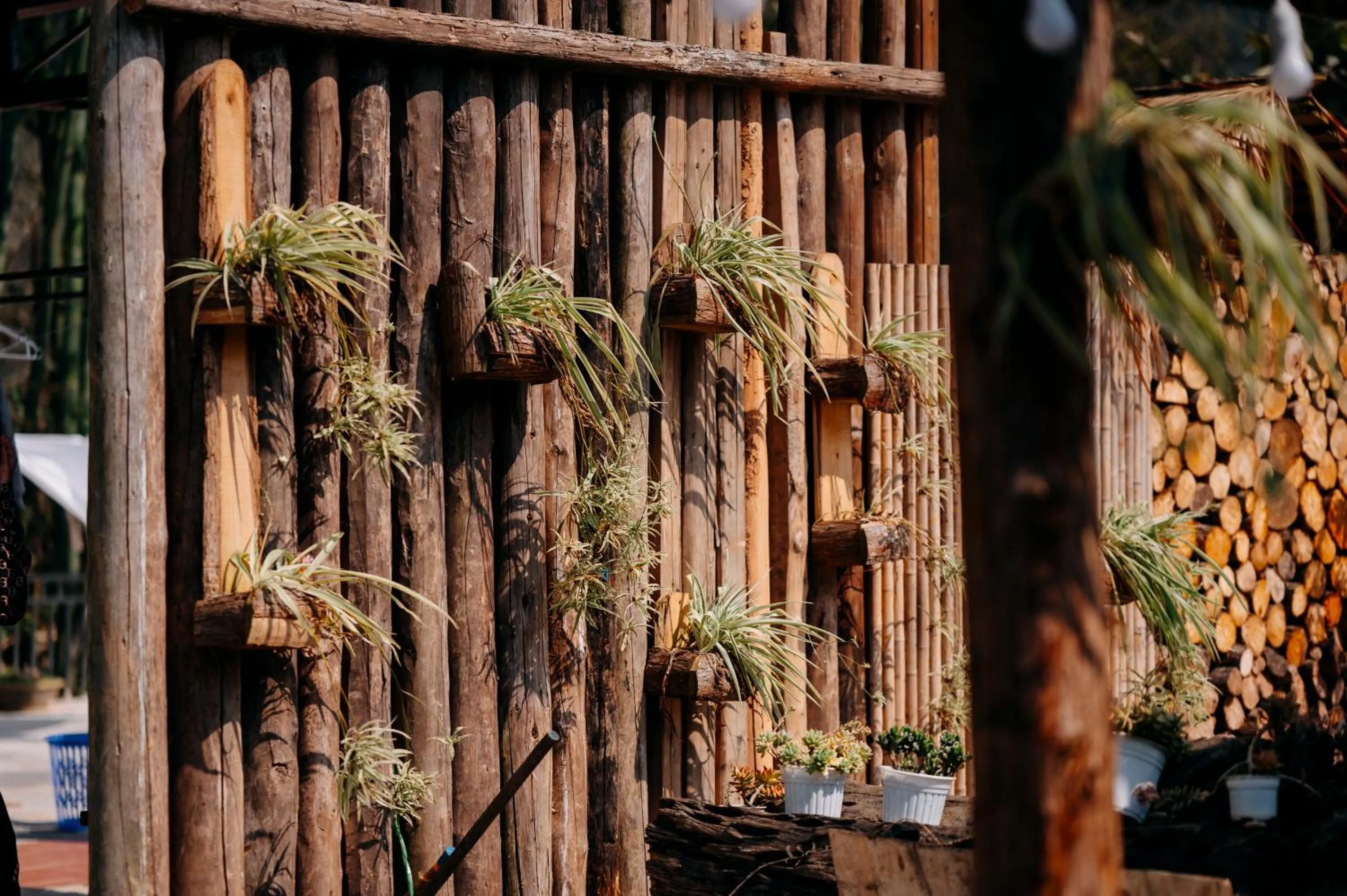 Sinai Bungalow & Hotel SaPa