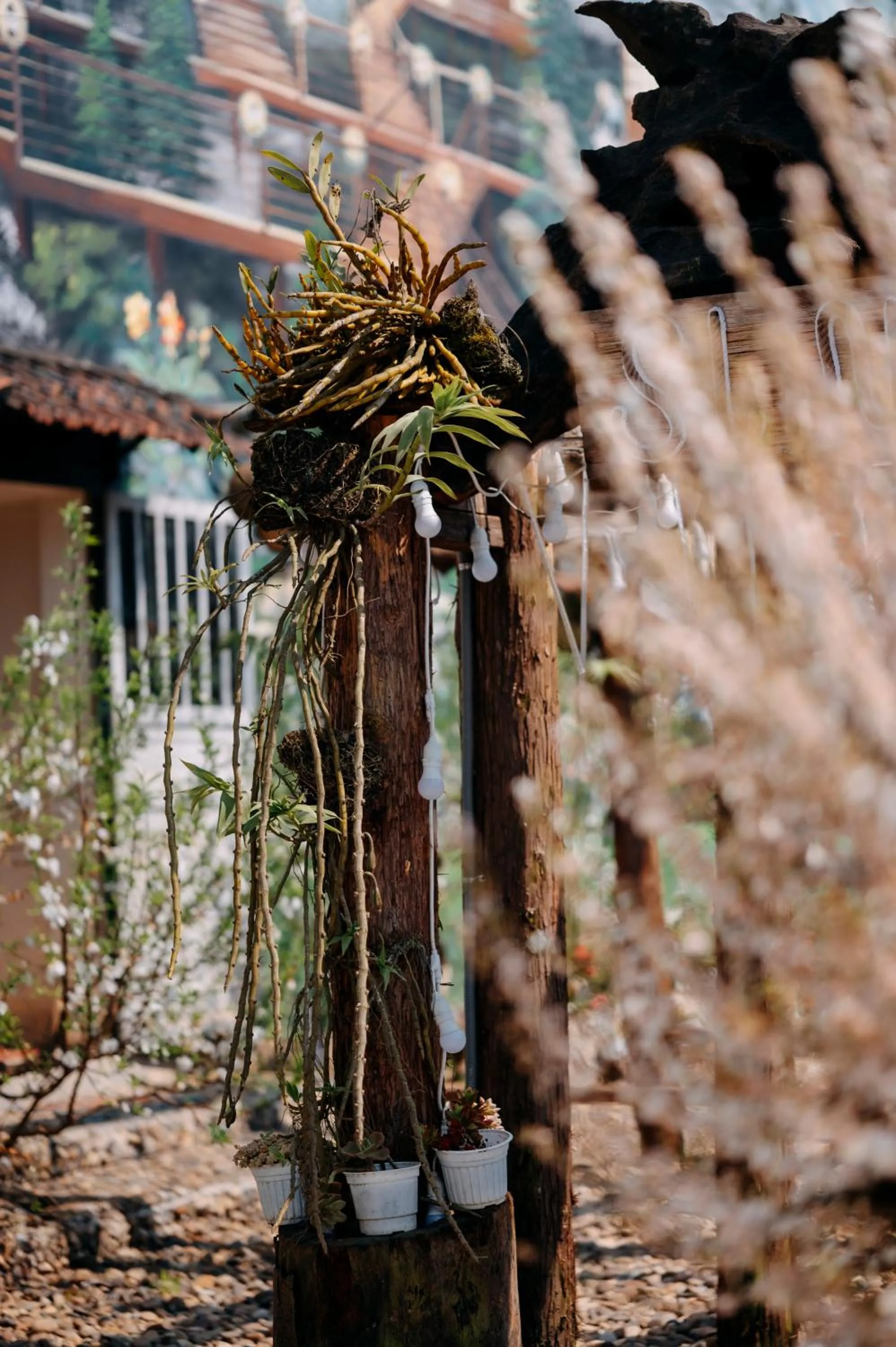 Sinai Bungalow & Hotel SaPa