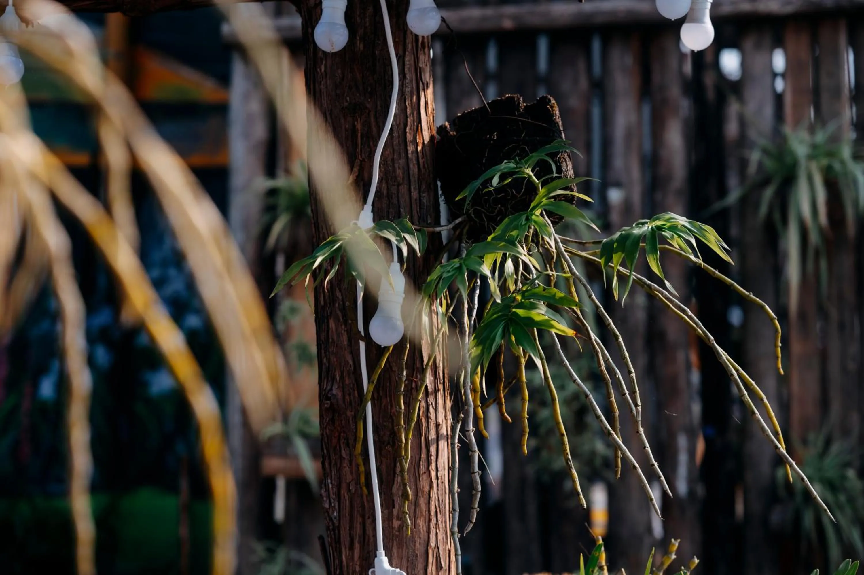 Sinai Bungalow & Hotel SaPa