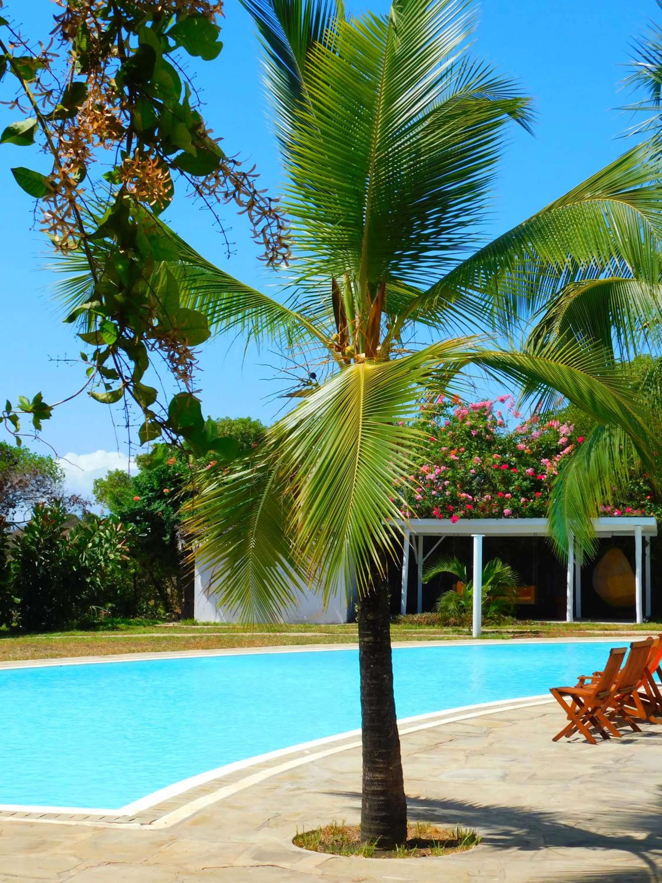 Swimming pool in Sonrisa Villas