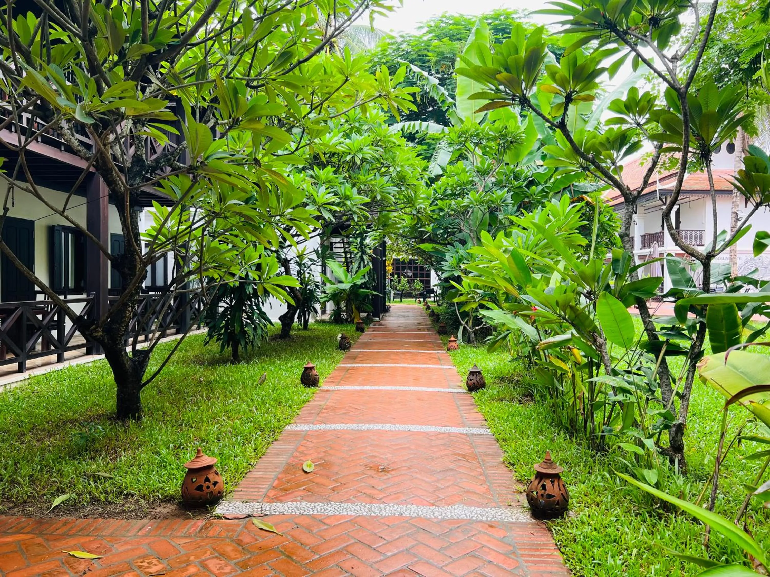 Garden in Meuangluang Hotel
