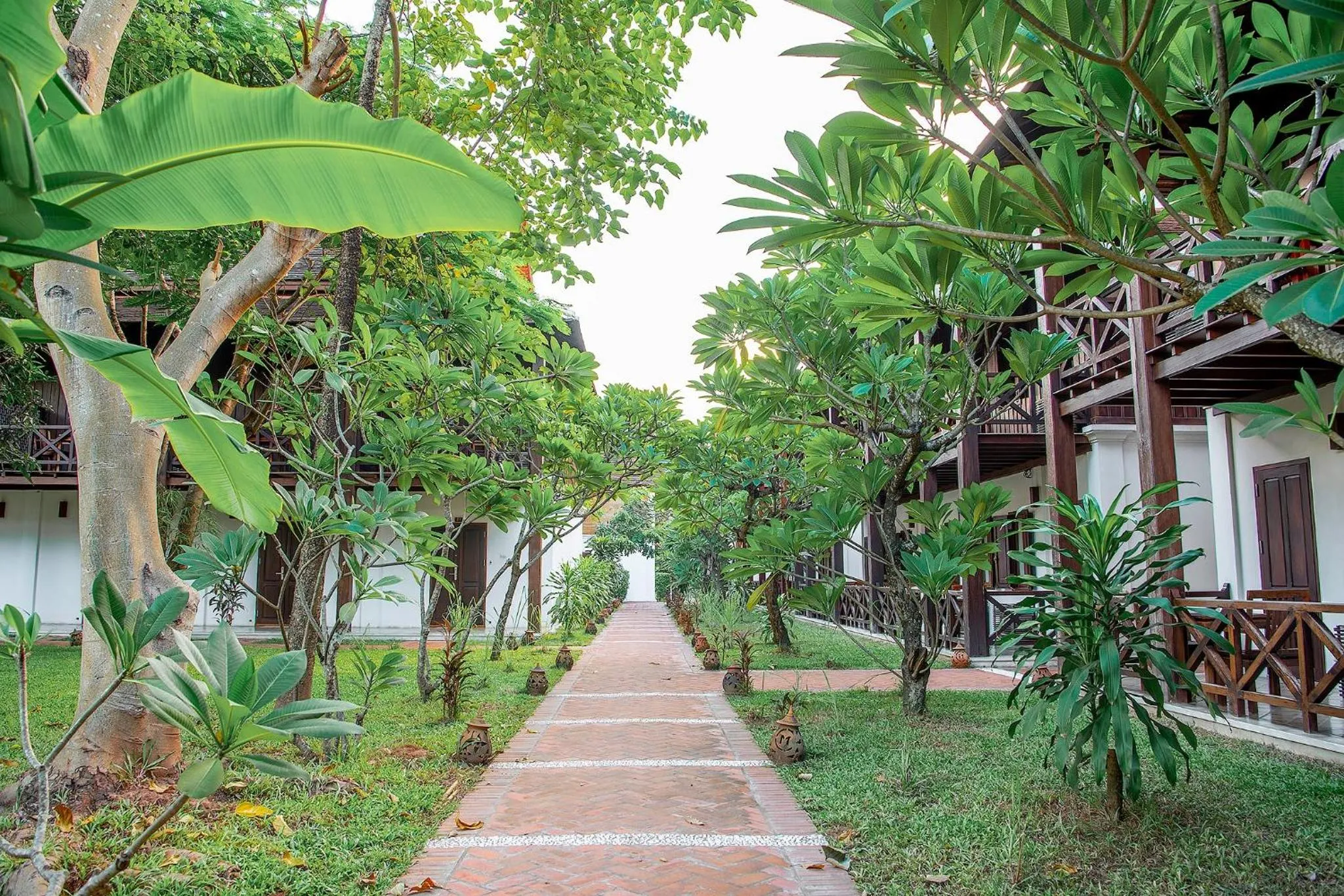 Garden in Meuangluang Hotel
