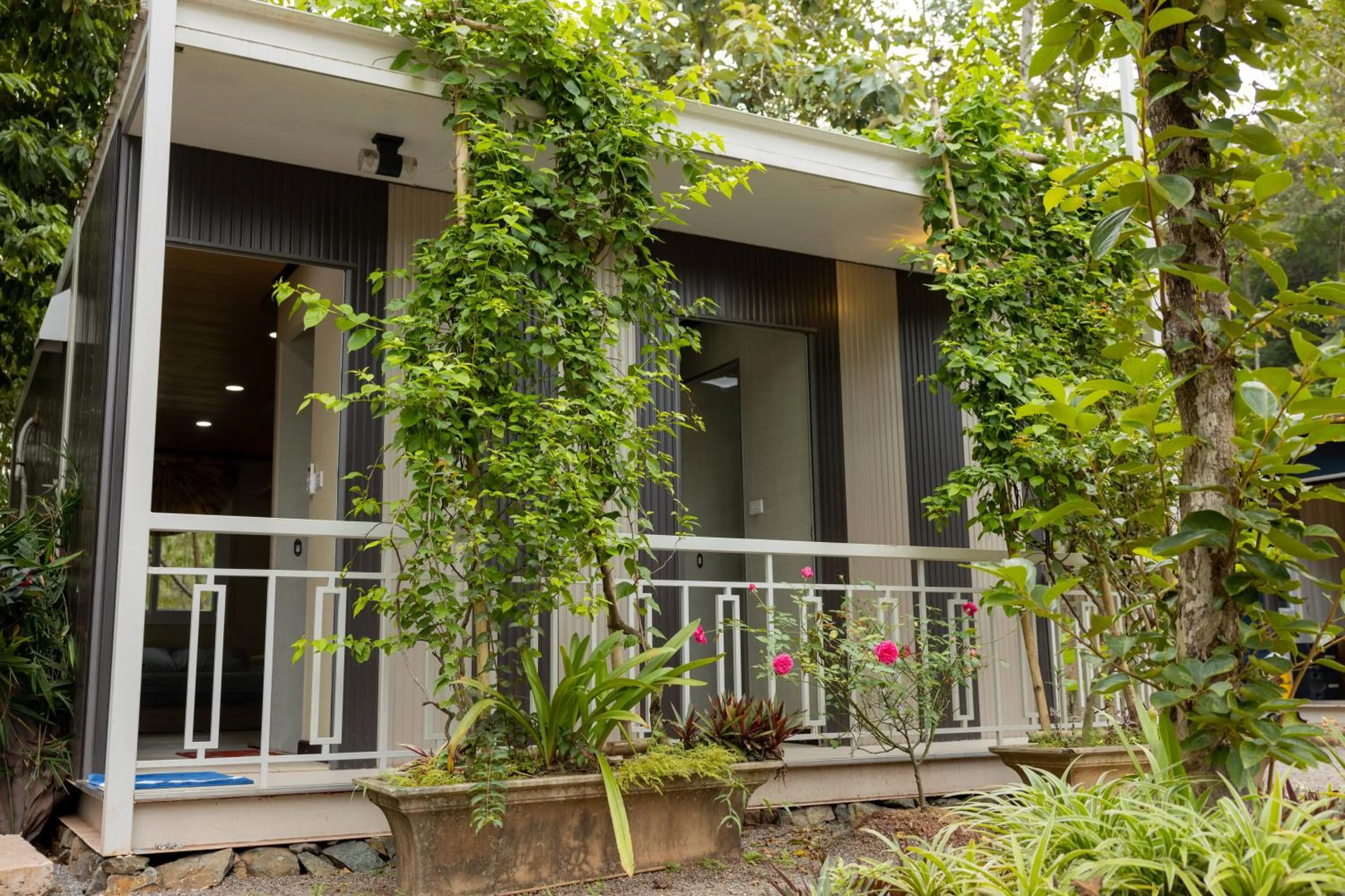 Property building in Halo Retreat