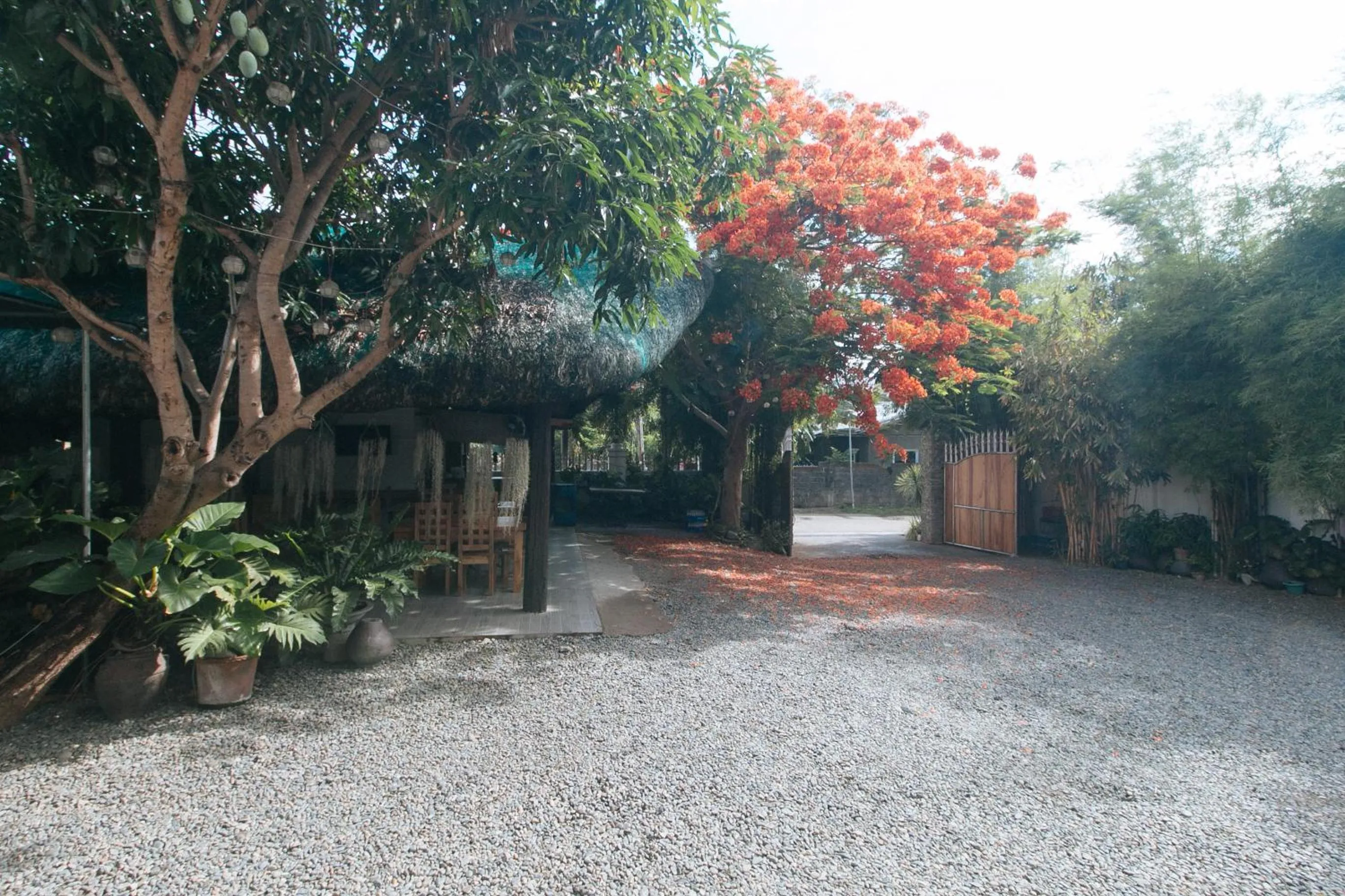 Property building in RedDoorz at Casa Rafaelle Transient Ilocos Sur