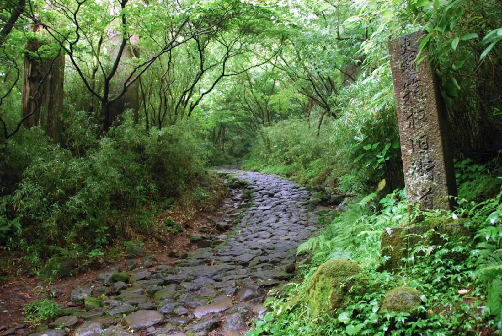 Natural landscape in Hakone Ashinoko Bikeikan 箱根芦ノ湖 美景館