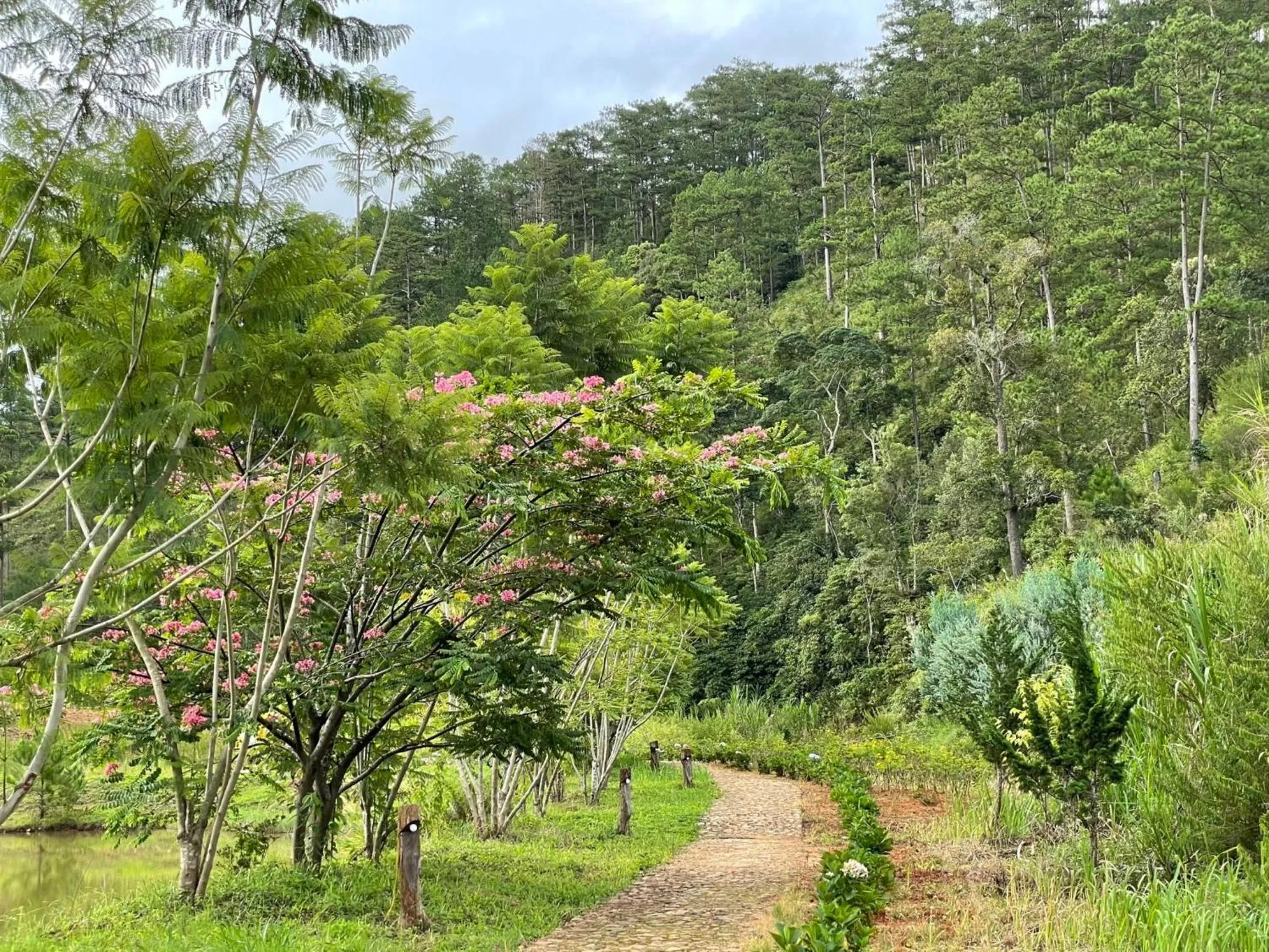 View (from property/room) in Lat Valley Retreat Village
