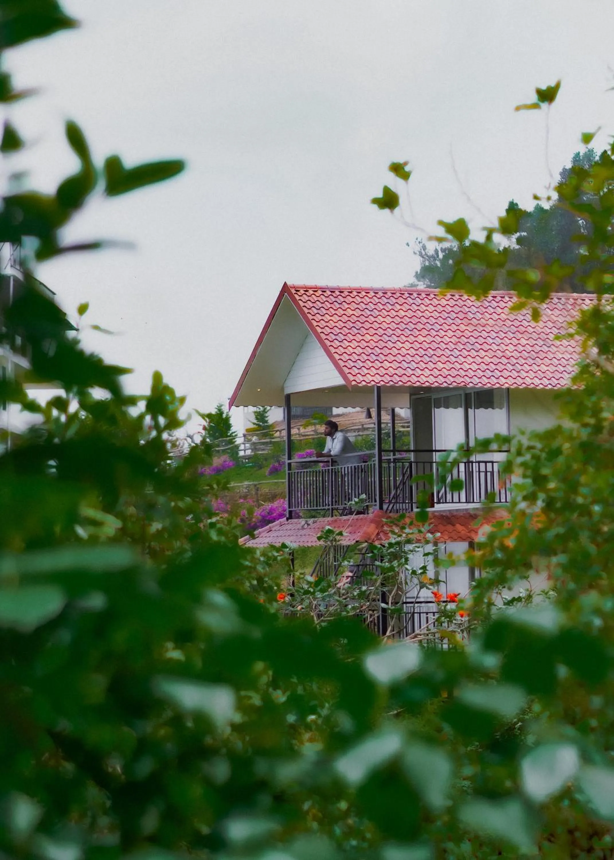 Property building in Forest County