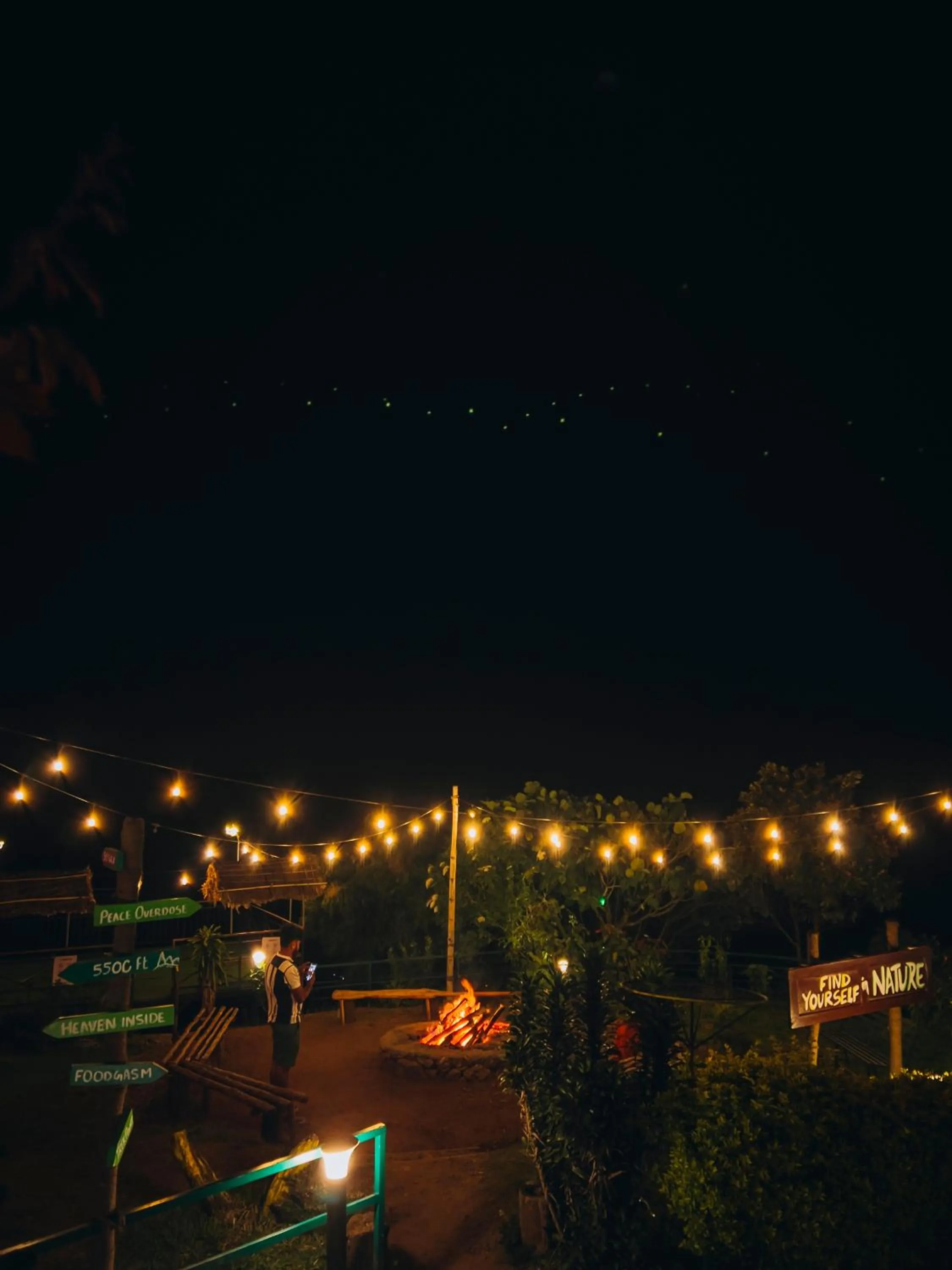 Night in Forest County