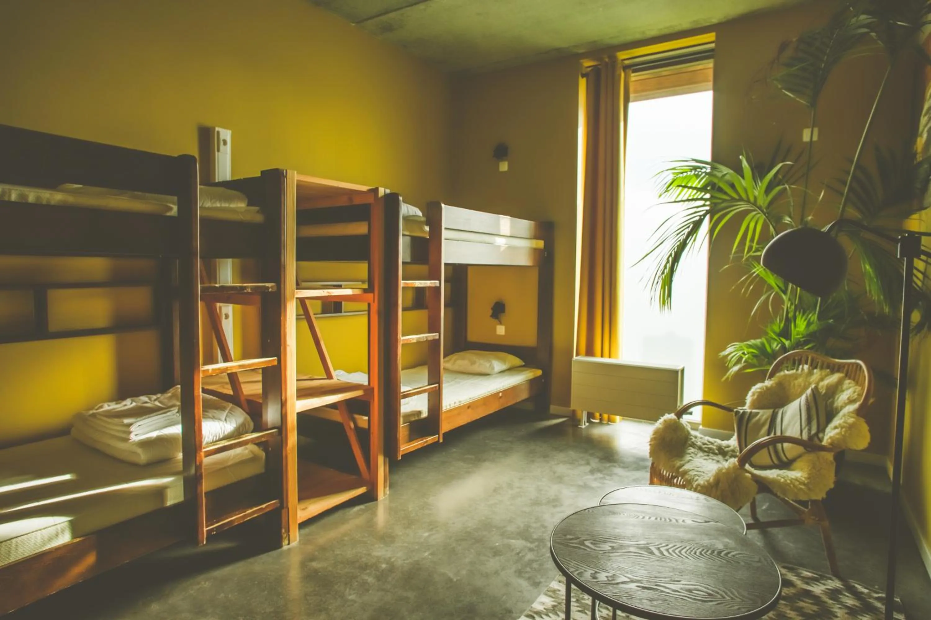 bunk bed in Lakeside Paradise Sport Hostel