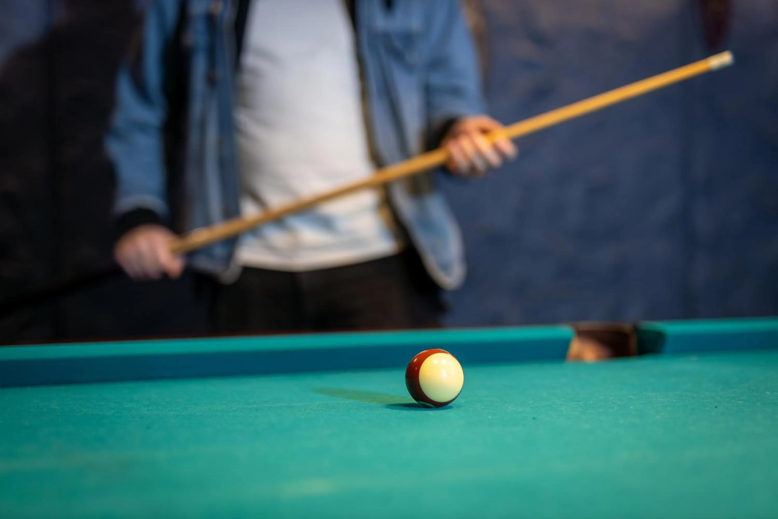 Game Room in Nemuno Slėnis