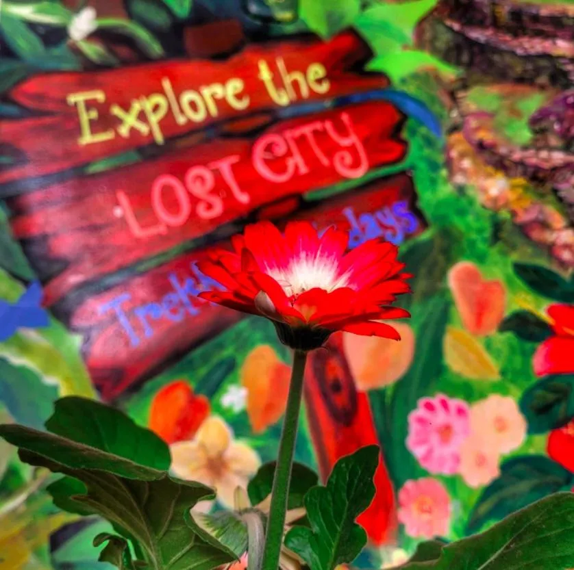 Fatima Hostel Santa Marta