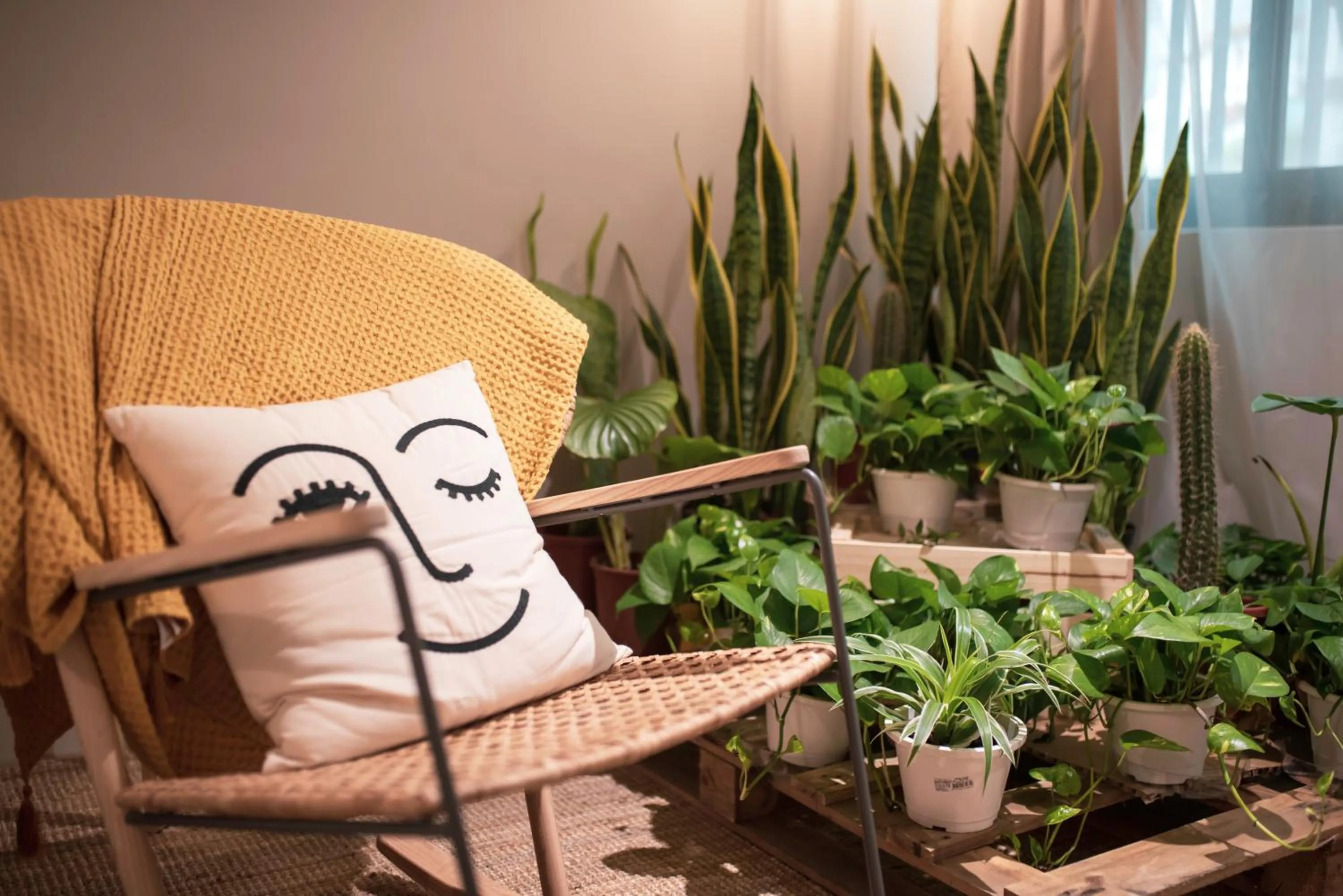 Photo of the whole room in 好趣旅店 How Chill Inn #風格設計民宿 #停車折抵 #可包棟