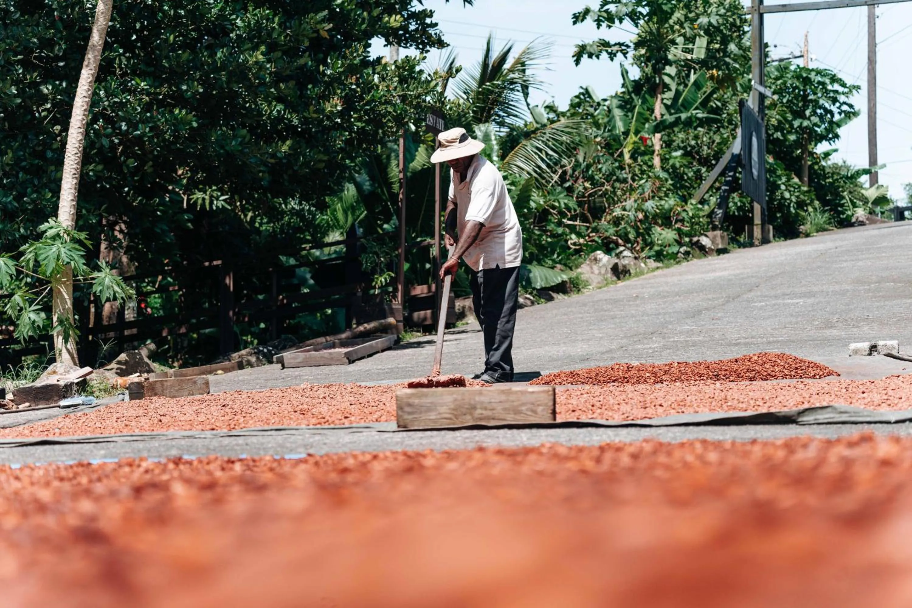 Garden in Rabot Hotel From Hotel Chocolat