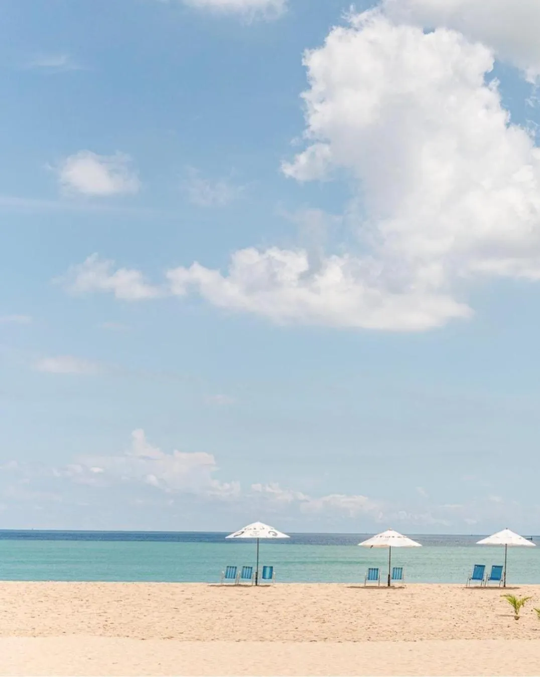 Natural landscape in Netuno Beach Hotel