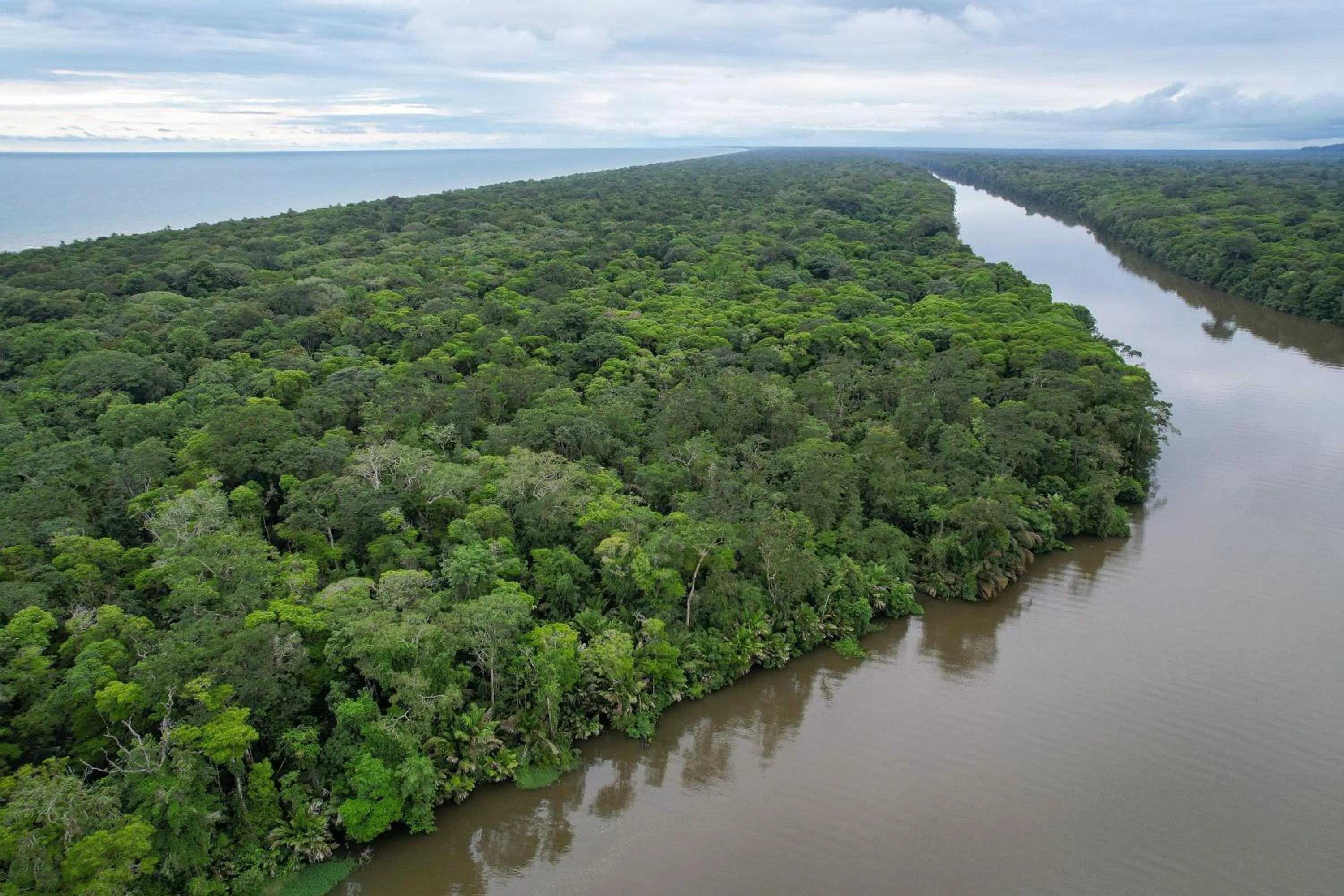 Day in El Deseo Serendipity Tortuguero