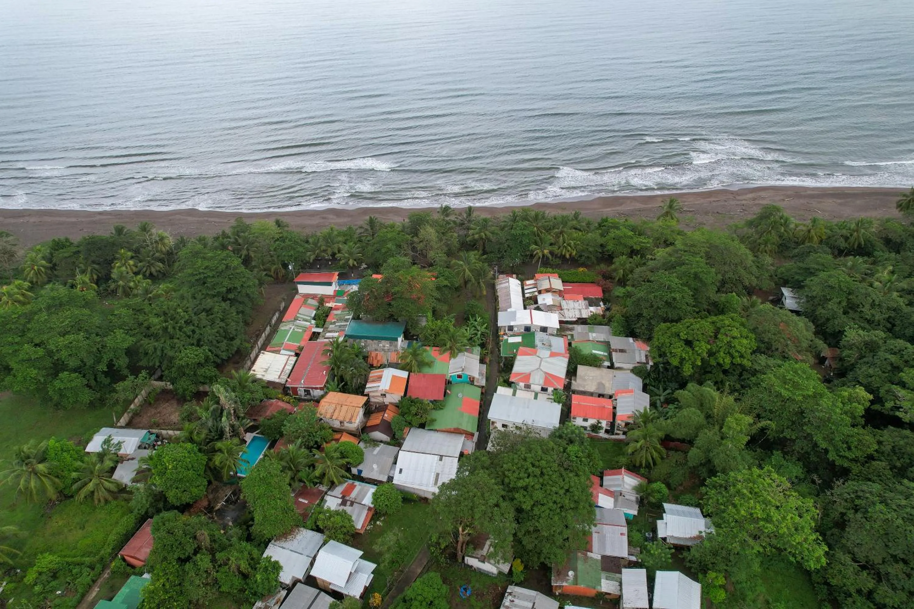 Day in El Deseo Serendipity Tortuguero