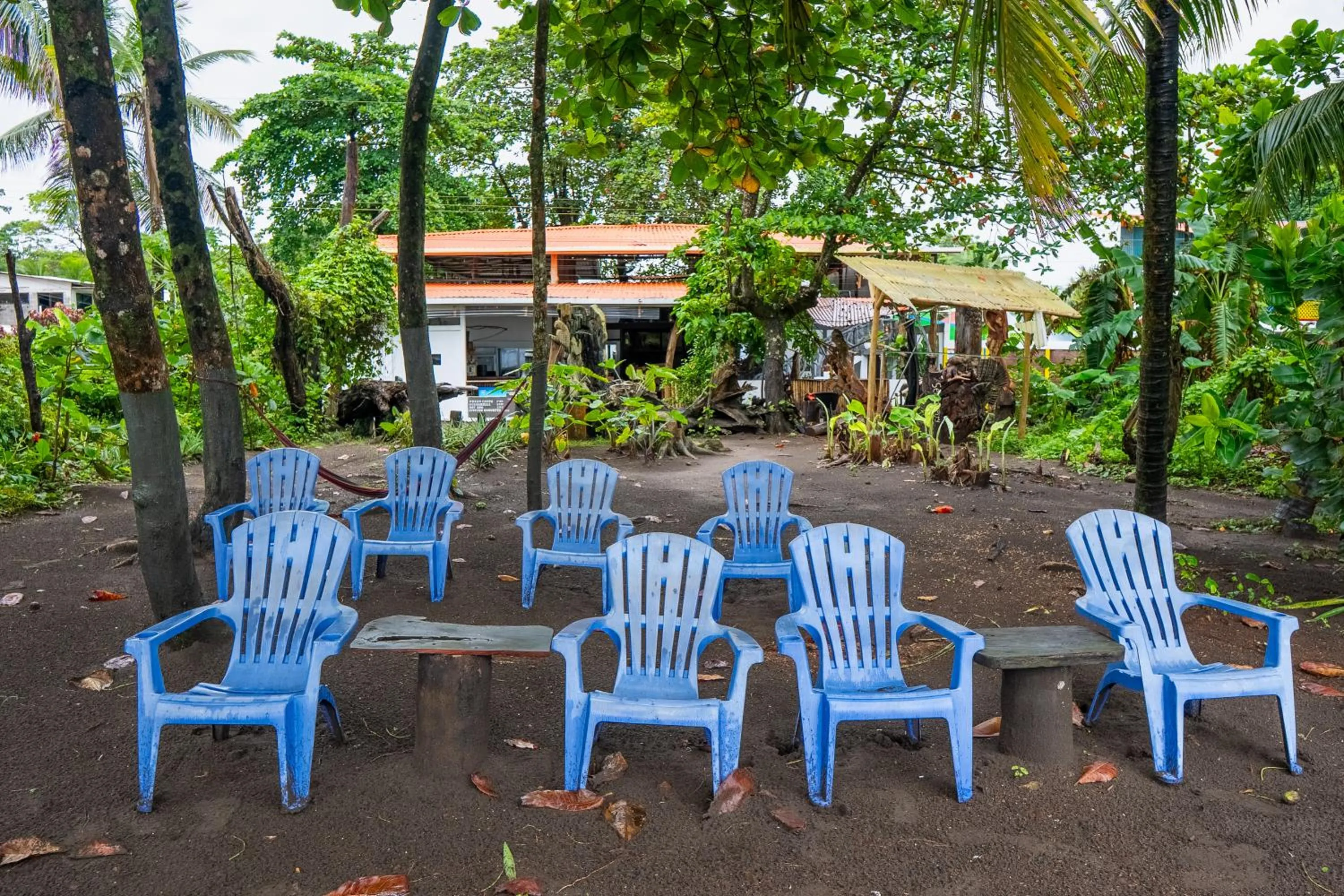 El Deseo Serendipity Tortuguero