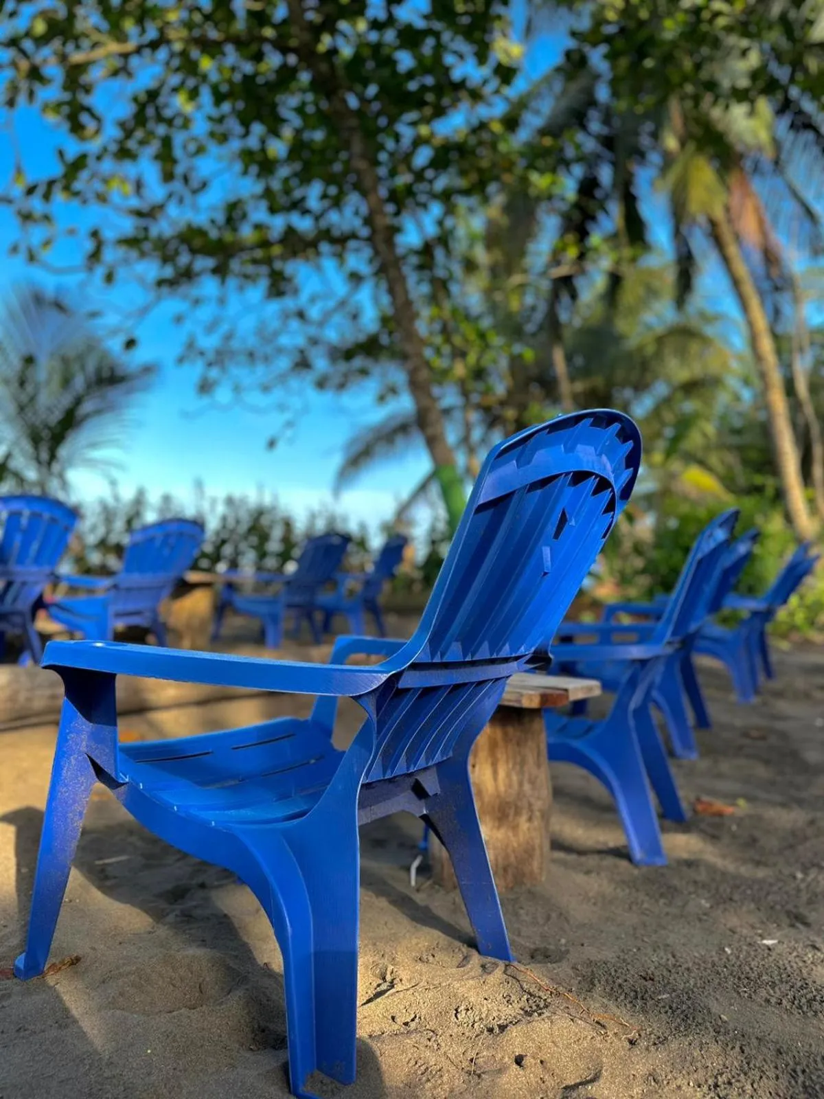 Day in El Deseo Serendipity Tortuguero