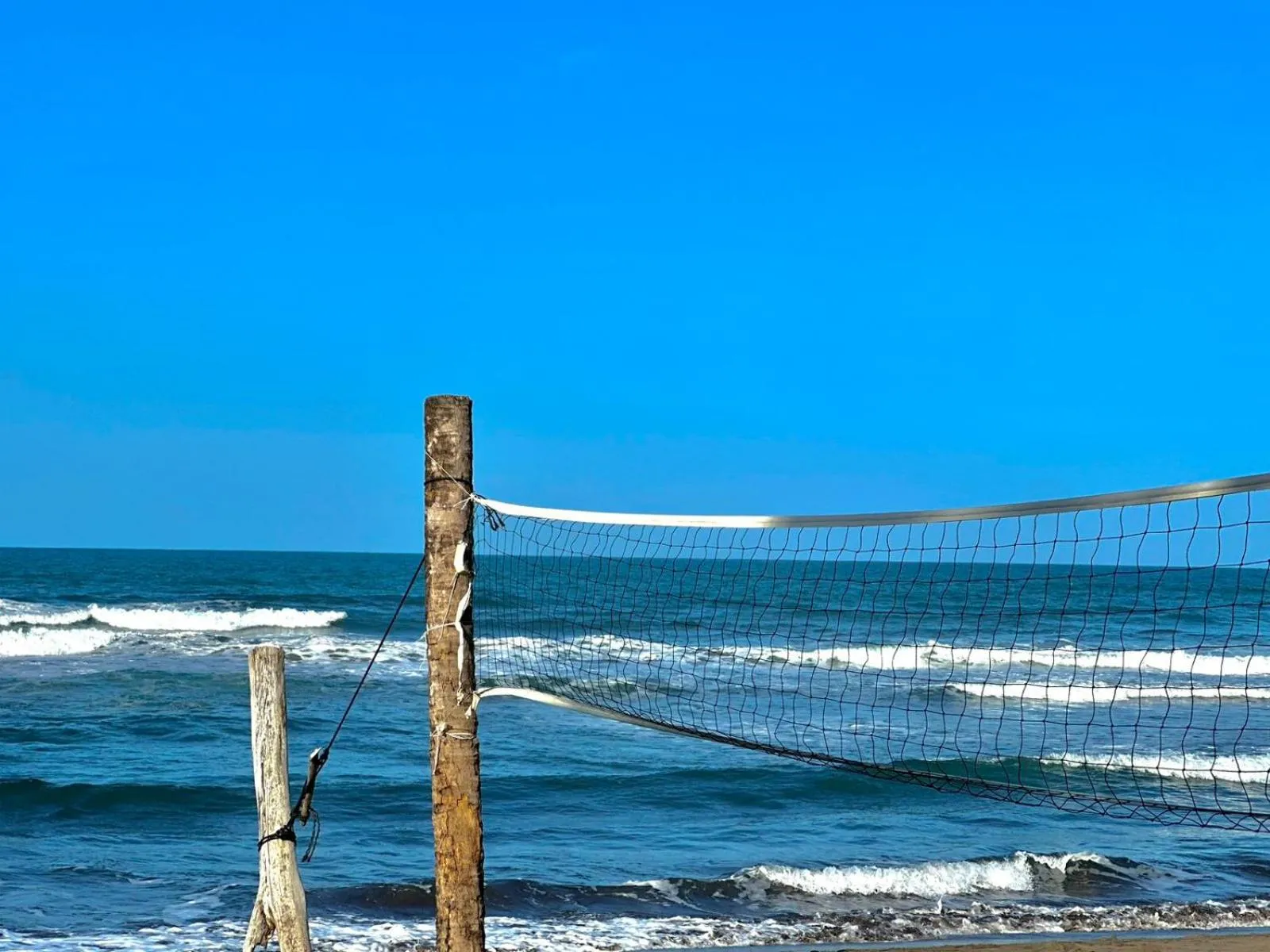 Day in El Deseo Serendipity Tortuguero